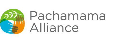 pachamama logo.png