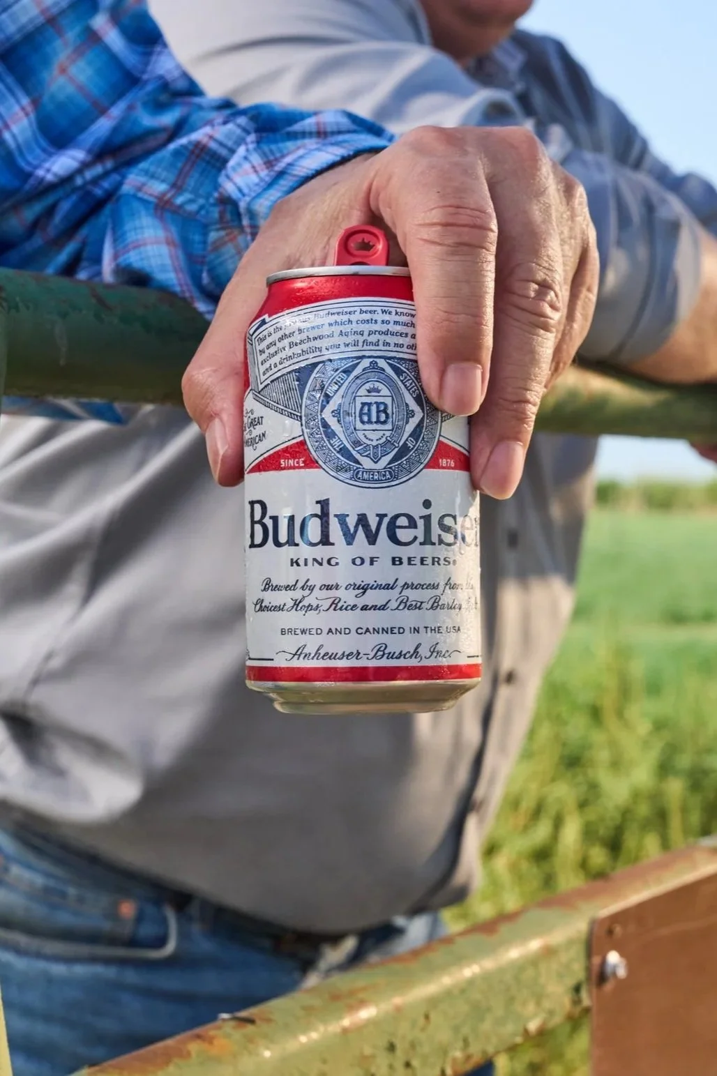 Budweiser