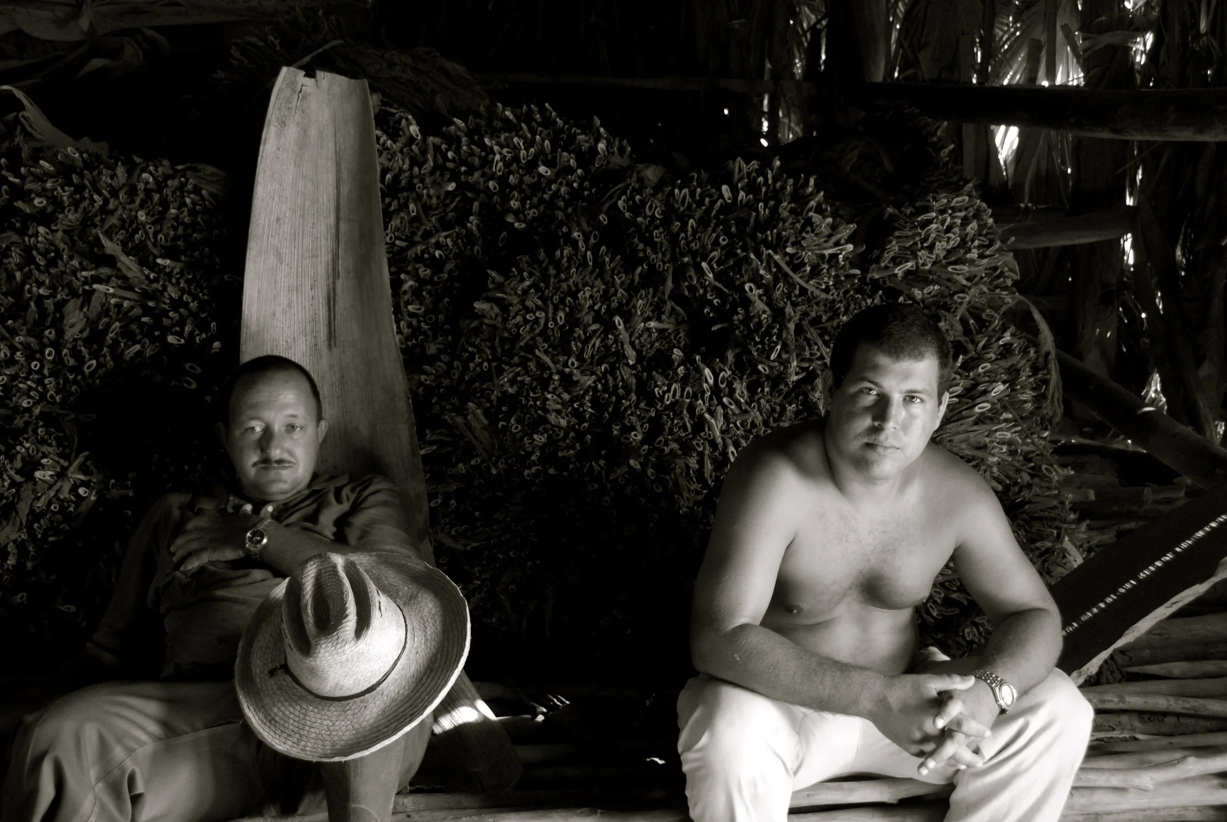 Tabaqueros in the Pinar del Rio Province. One of the places you'll visit in your stay