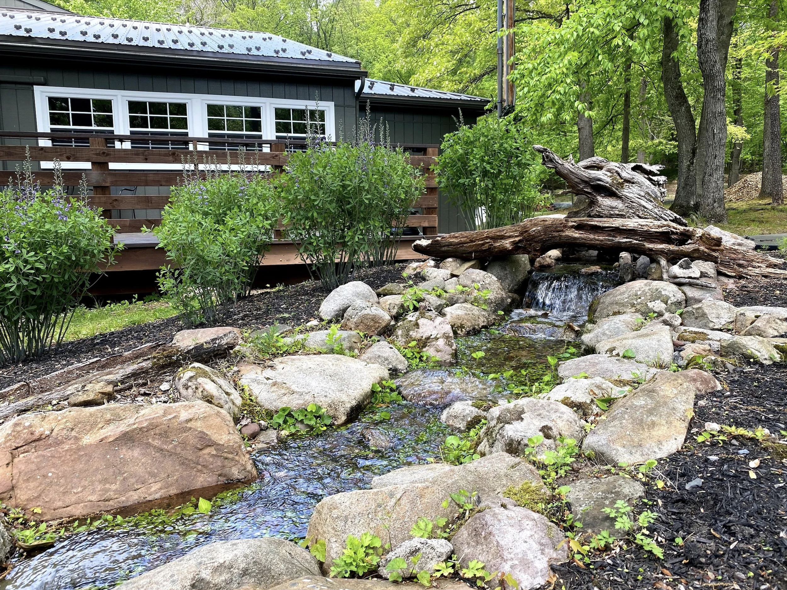 Whitetail_stream_lodge.png