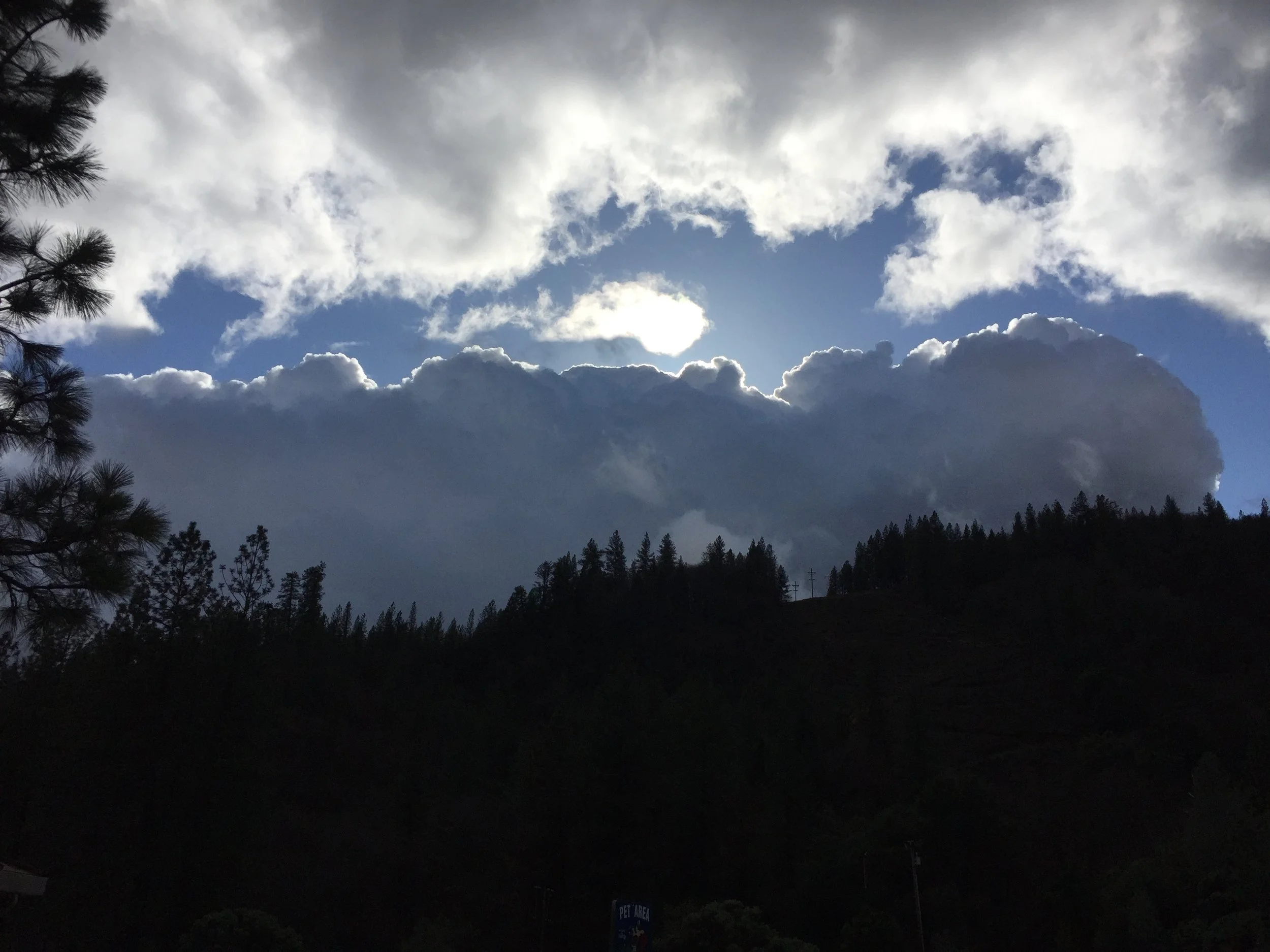 Mill Valley, CA November 2016, by Carole Amend