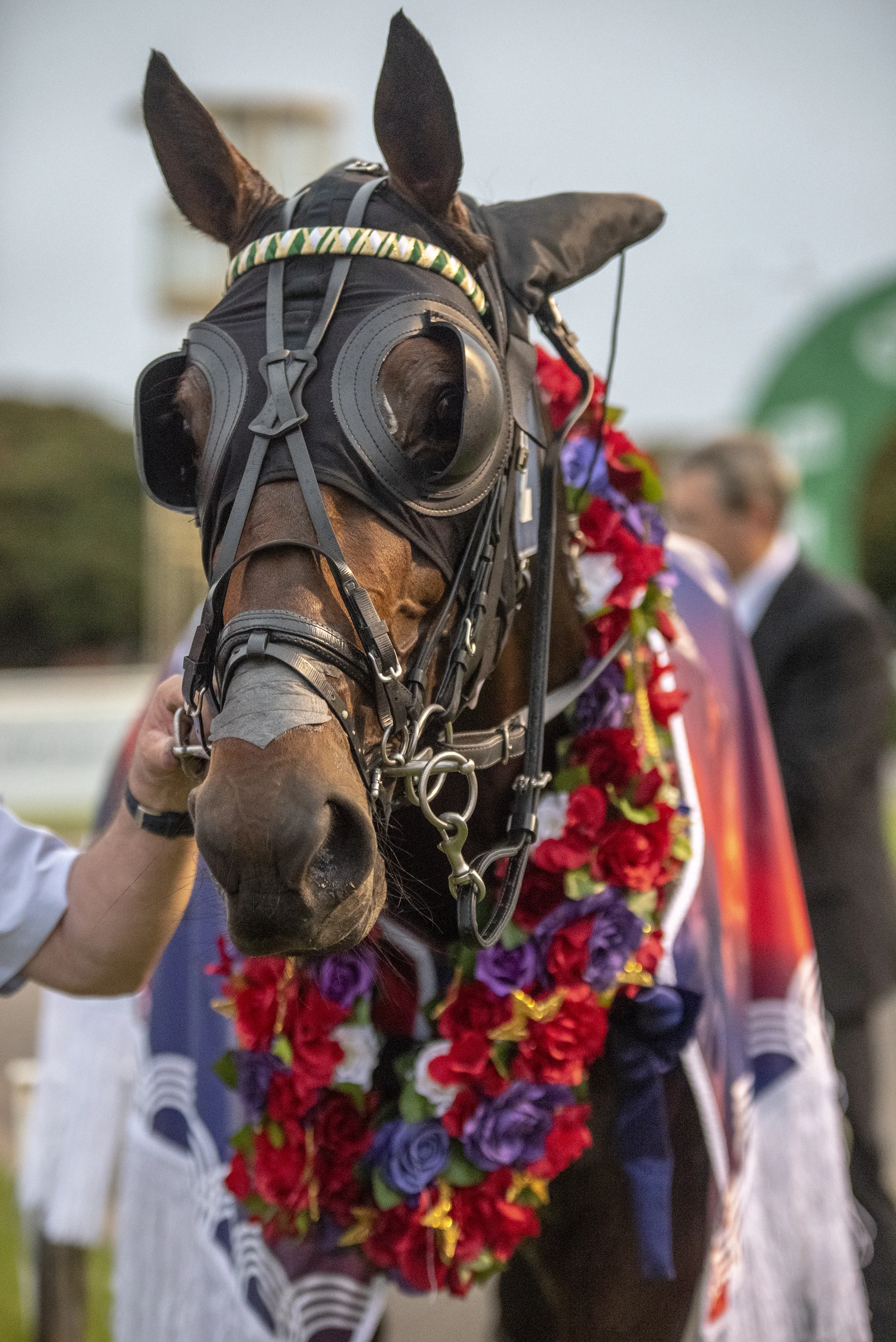 Speeding Spur, TAB Inter Dominion Trotting Championship 3rd Round Heat 2 Winner 1