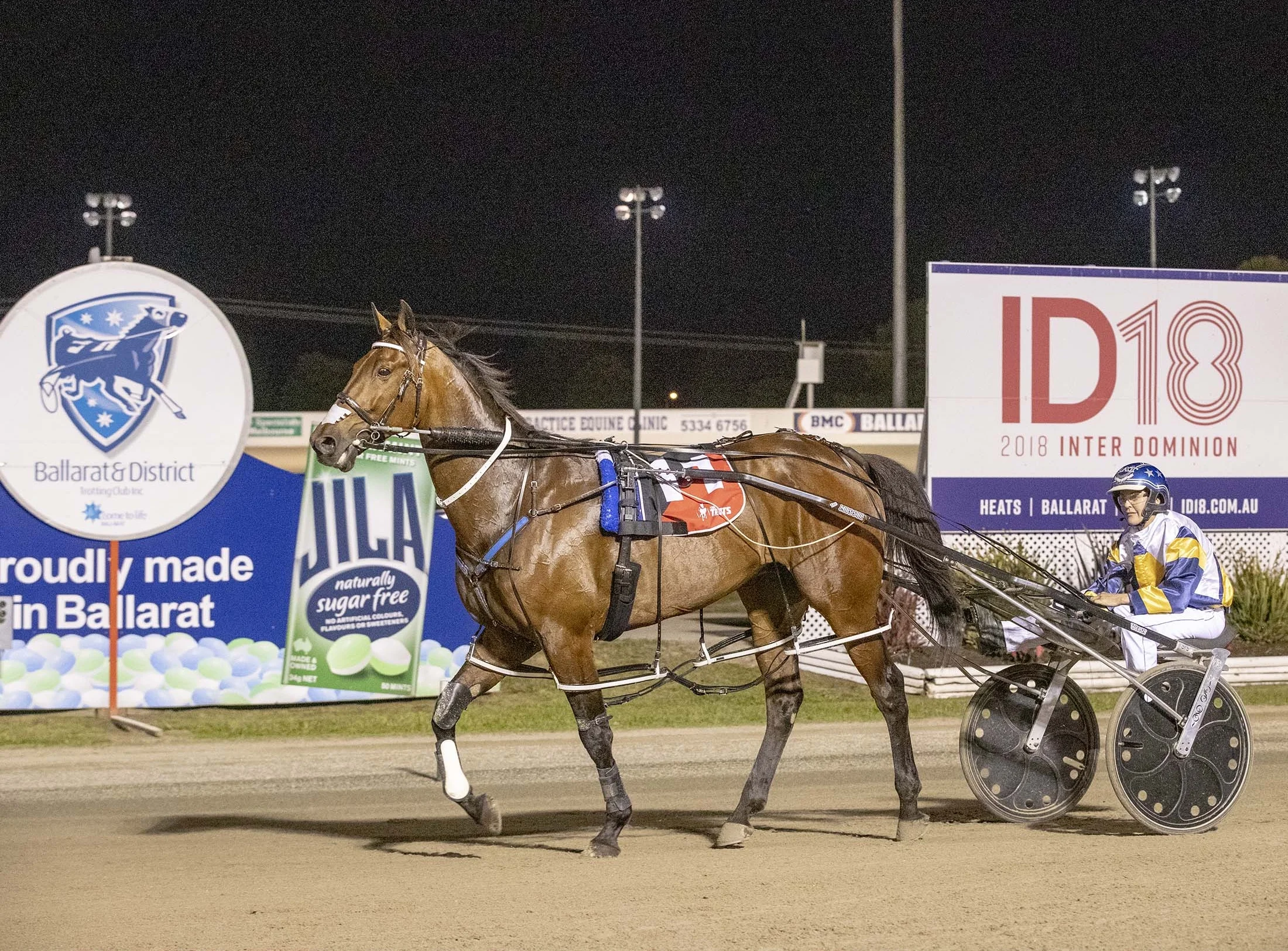 Cruz Bromac, TAB Inter Dominion Pacing Championship 2nd Round Qualifying Heat 3 Winner