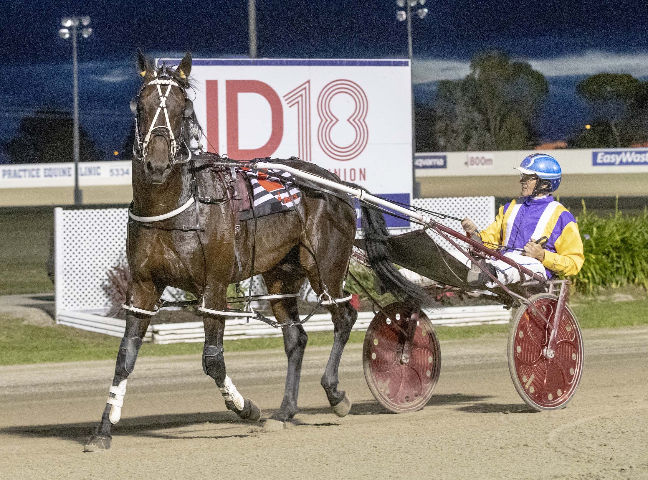 Im Pats Delight TAB Inter Dominion Pacing Championship 2nd Rd Qualifying Heat 2 Winner