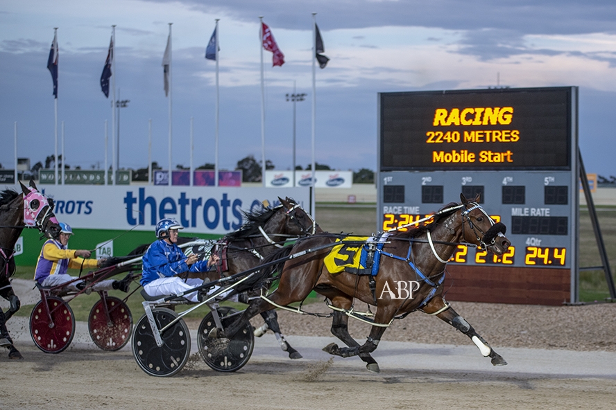 Spankem takes out his TAB ID18 first-round pacing heat for Natalie Rasmussen, driving for the champion New Zealand-based Mark Purdon/Rasmussen stable.