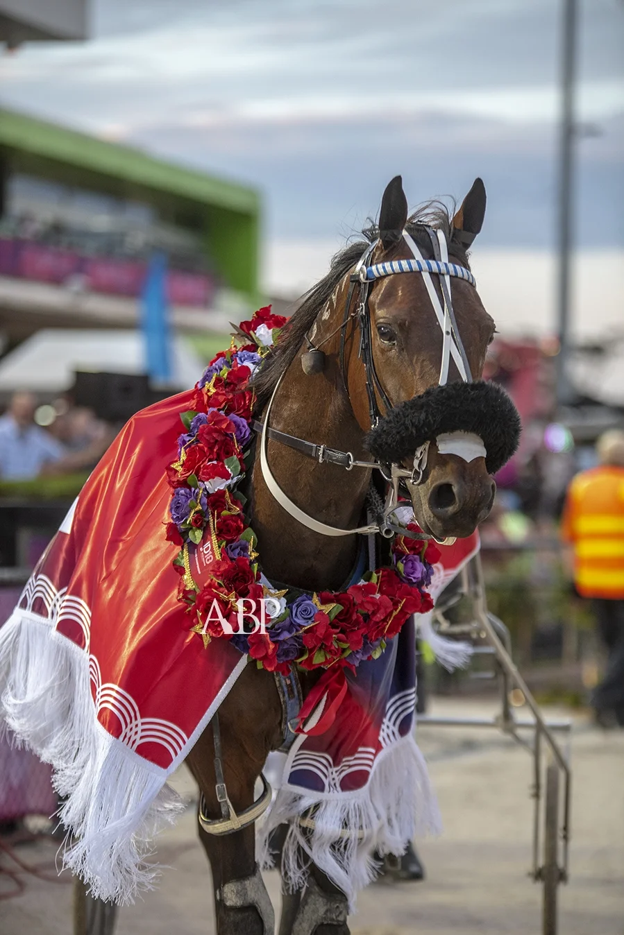 Spankem takes out his TAB ID18 first-round pacing heat for Natalie Rasmussen, driving for the champion New Zealand-based Mark Purdon/Rasmussen stable.
