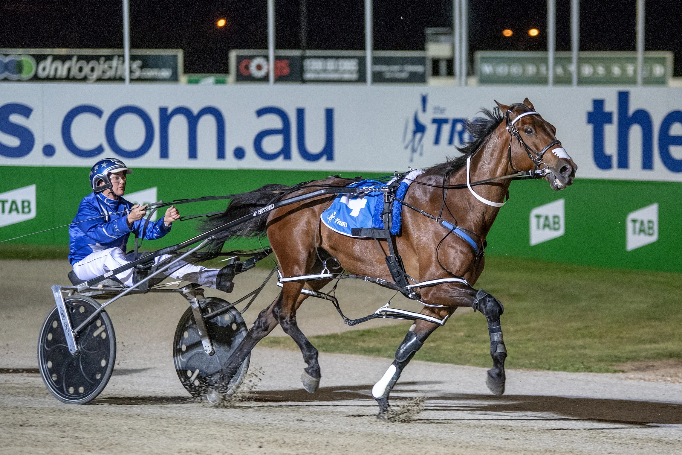 Another win for the All Stars as Natalie Rasmussen guides Cruz Bromac to an electrifying TAB ID18 first-round heat win at Tabcorp Park Melton.
