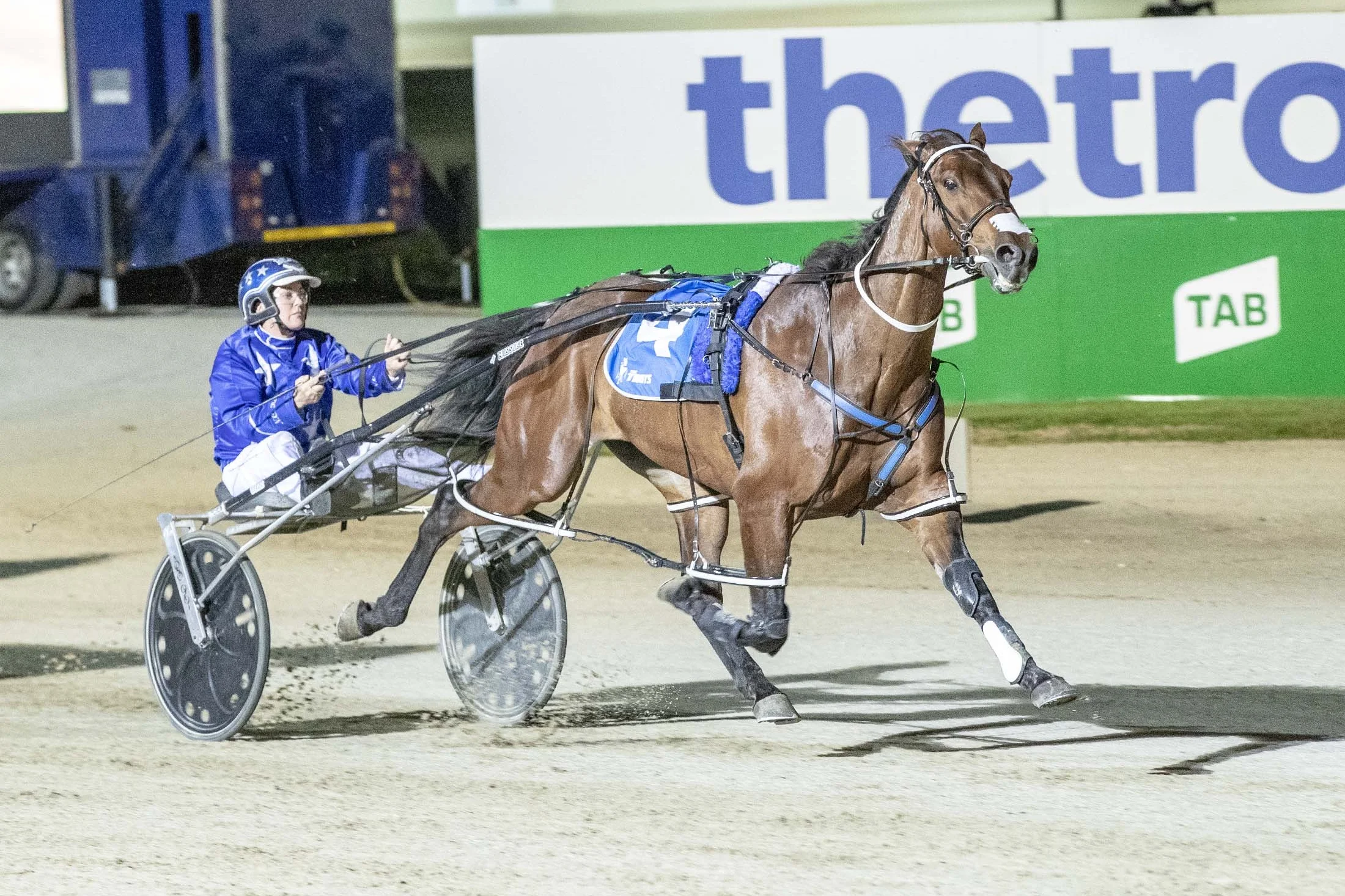 Natalie Rasmussen guides Cruz Bromac home in the first round of the TAB ID18 pacing heats at Tabcorp Park Melton.