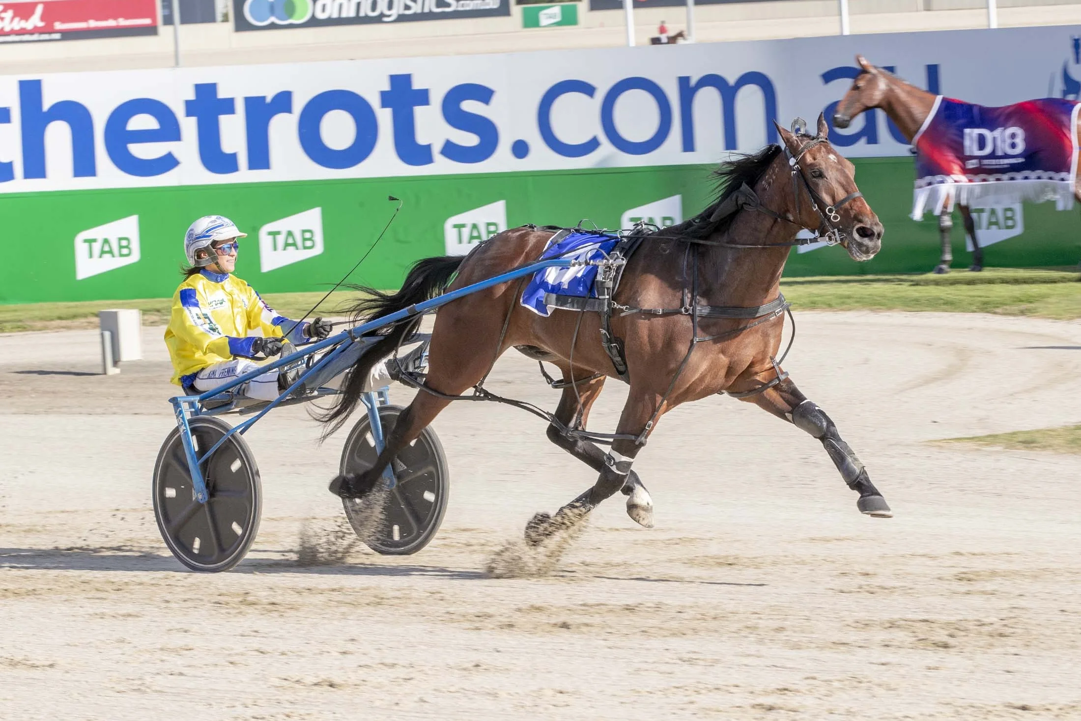 Former Swedish monte rider turned gun locally based driver Kima Frenning glides home aboard Higherthananeagle at Tabcorp Park Melton.