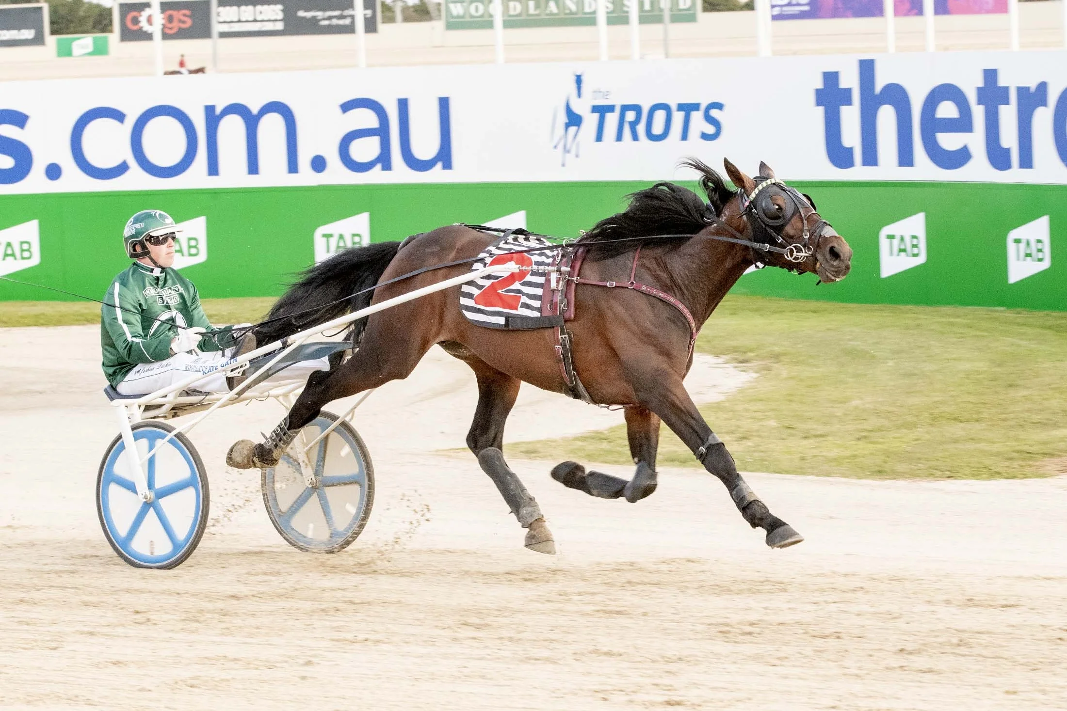 Josh Dickie and Speeding Spur take out the TAB ID18 Round 1 trotting heat.