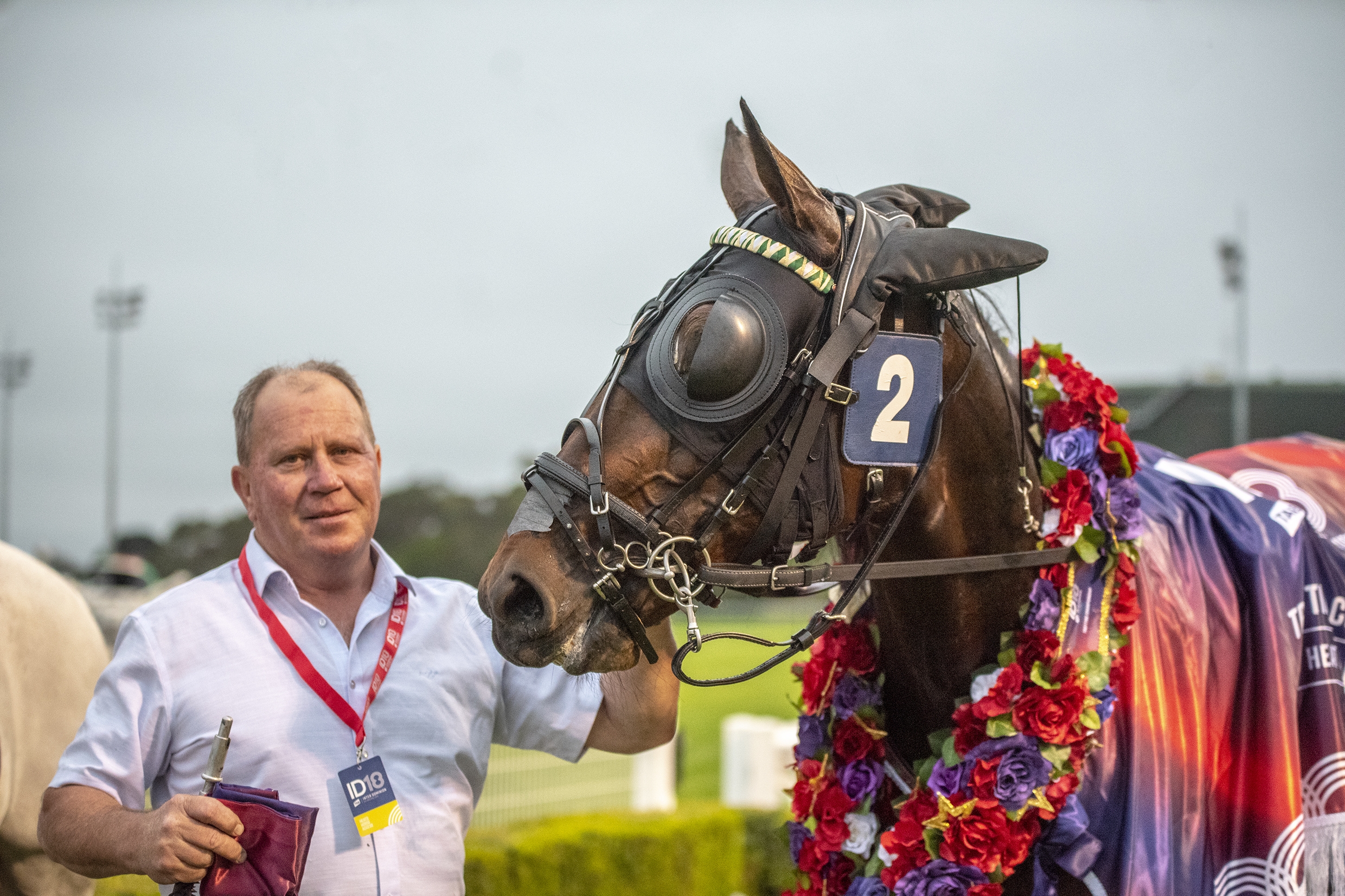 Speeding Spur, TAB Inter Dominion Trotting Championship 3rd Round Heat 2 Winner 1