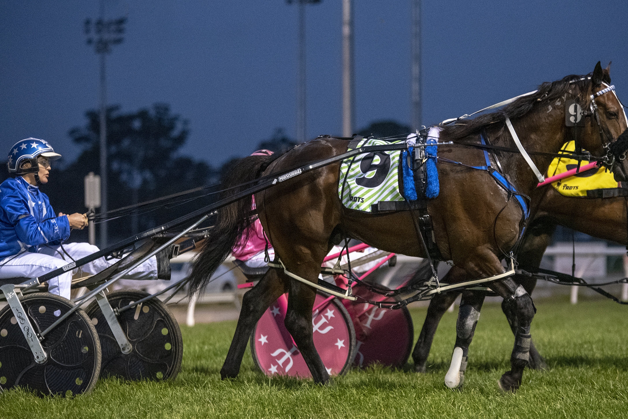 Spankem, TAB Inter Dominion Pacing Championship 3rd Round Heat 1 Winner