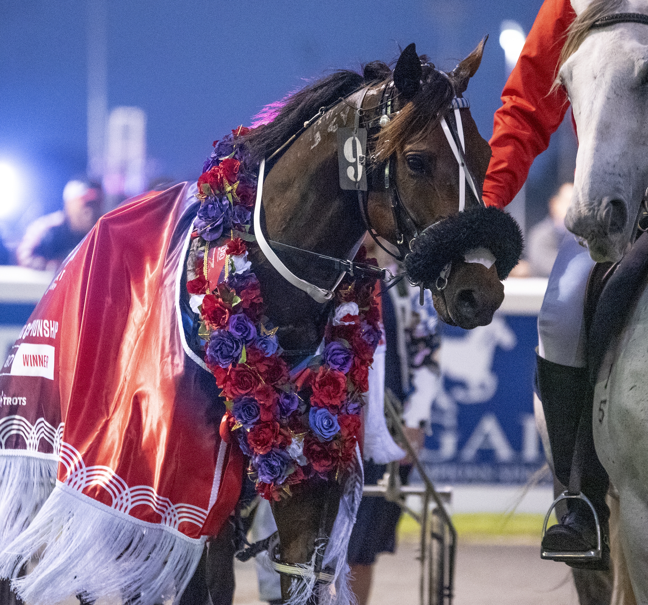 Spankem, TAB Inter Dominion Pacing Championship 3rd Round Heat 1 Winner