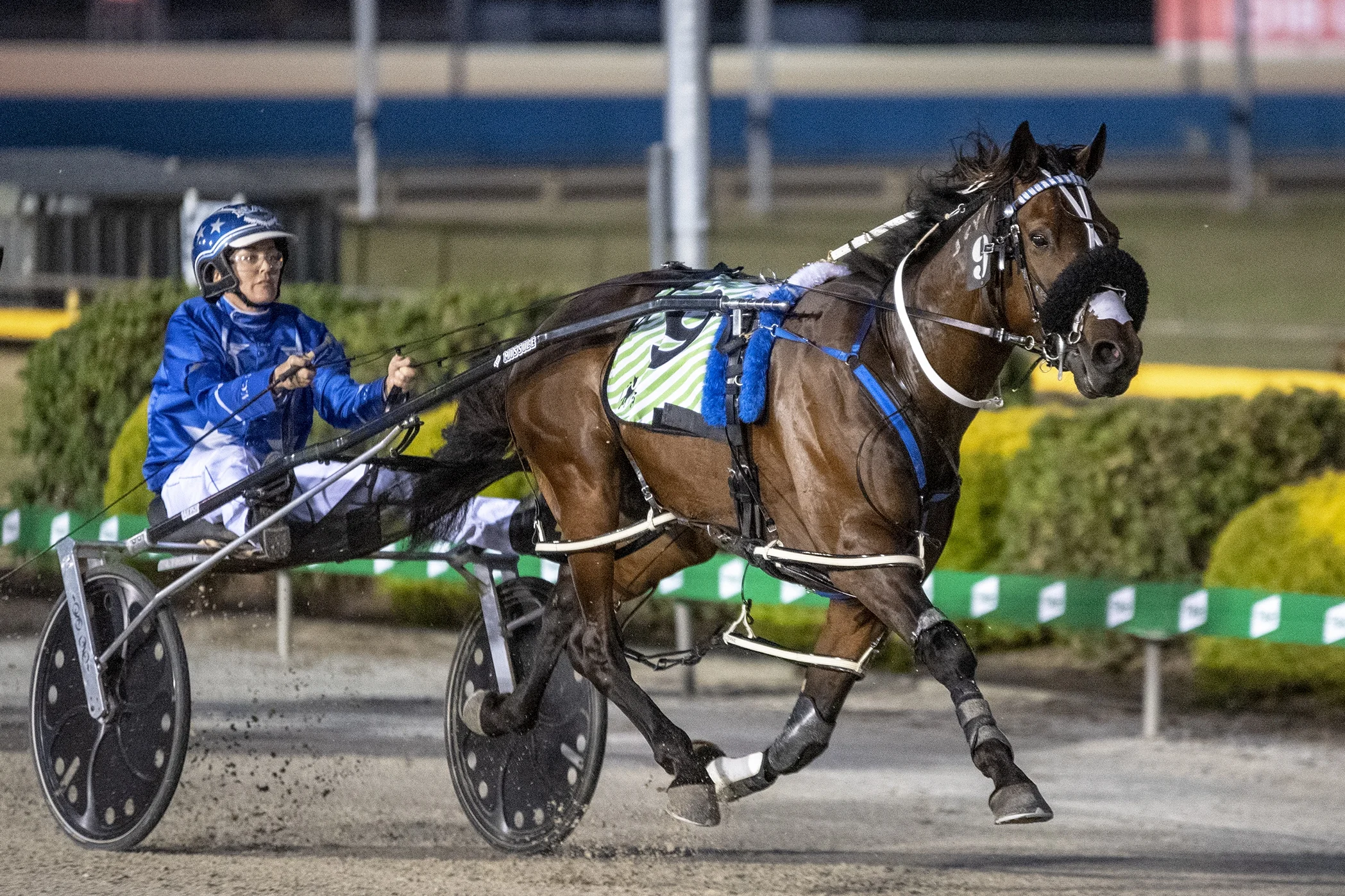 Spankem, TAB Inter Dominion Pacing Championship 3rd Round Heat 1 Winner