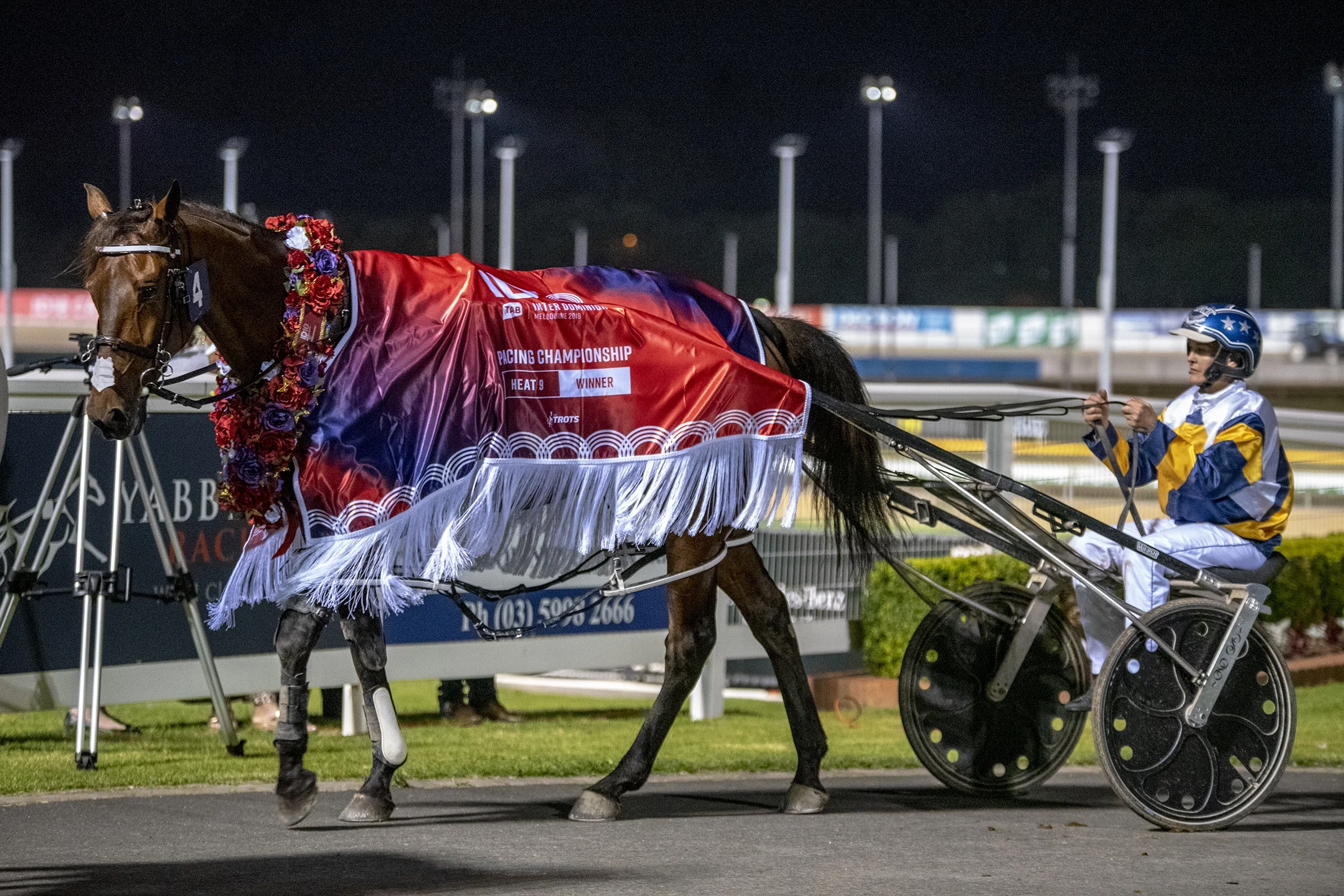 Cruz Bromac, TAB Inter Dominion Pacing Championship 3rd Round Heat 3 Winner