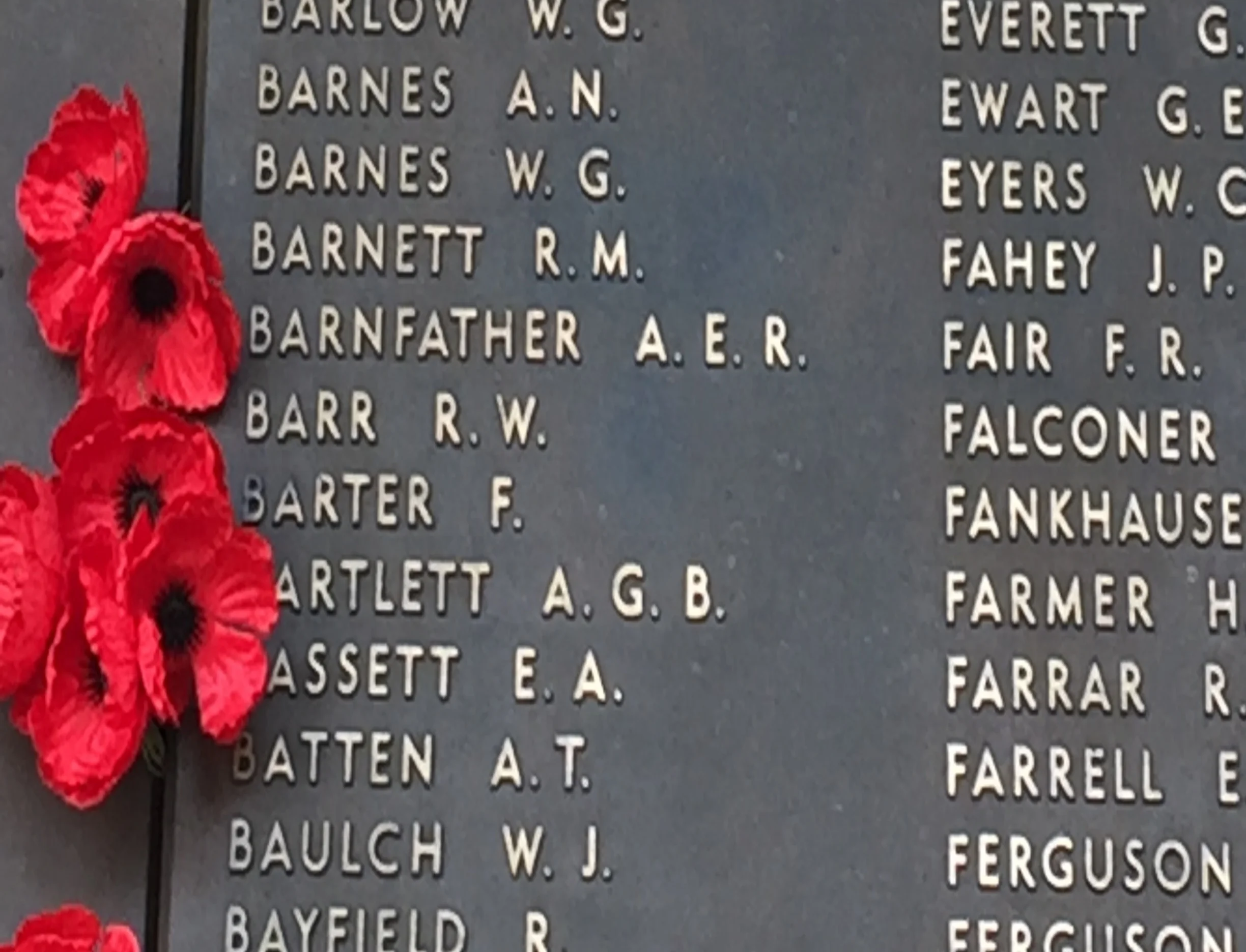 The Data Jungle - Fighting Spirit