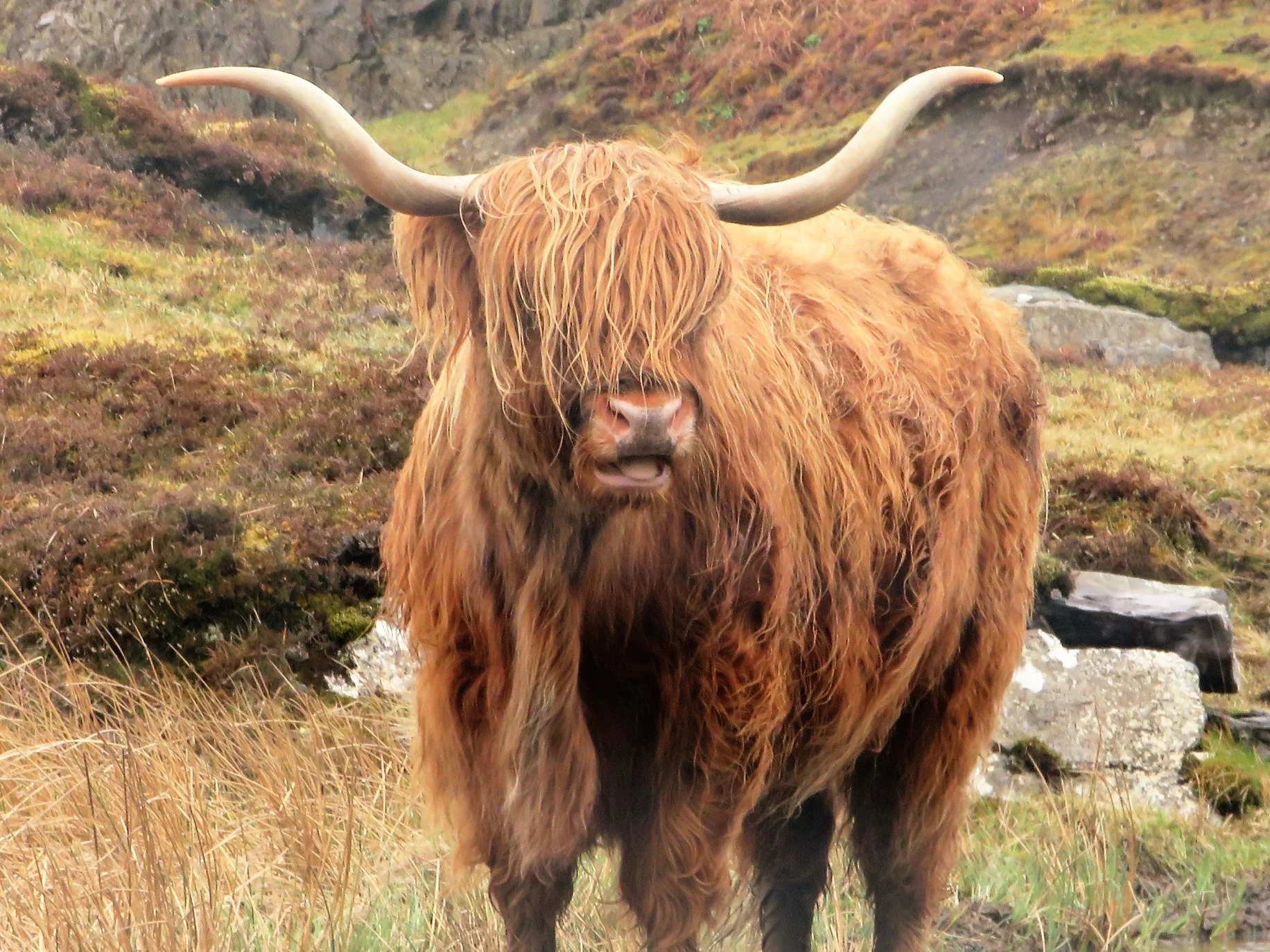 The Data Jungle - 2019: Are You Ready?