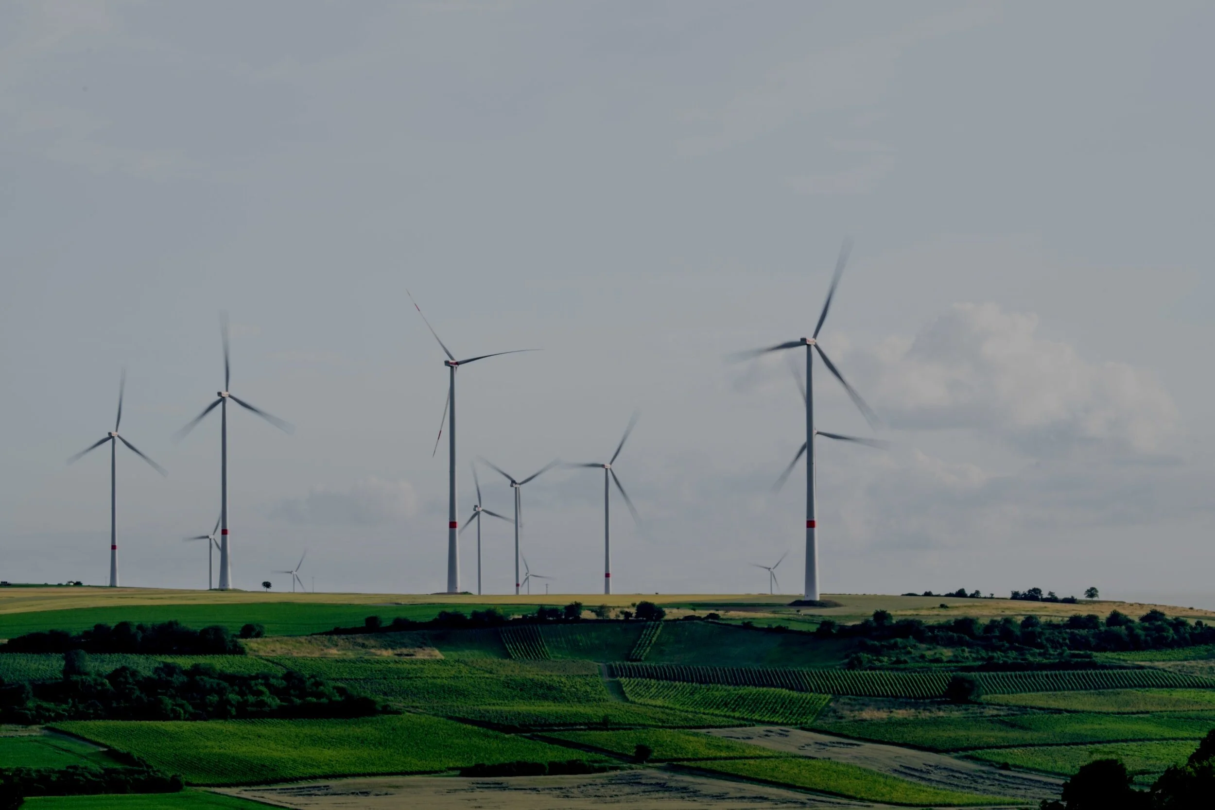 Simple steps companies can take to reduce their carbon footprint