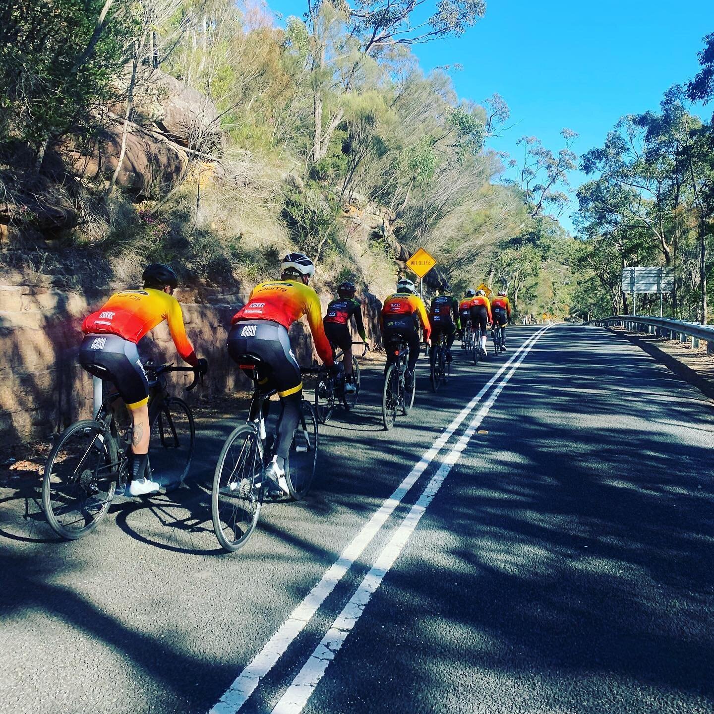 Great day
Taking the @northernsydneycc men&rsquo;s and women&rsquo;s elite squads on a training day.
Covering race craft and skills. 

#bike #cycling #nextgen #dogsquad