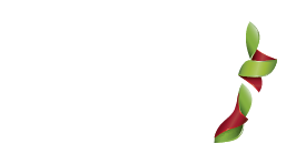 Indevin New Zealand