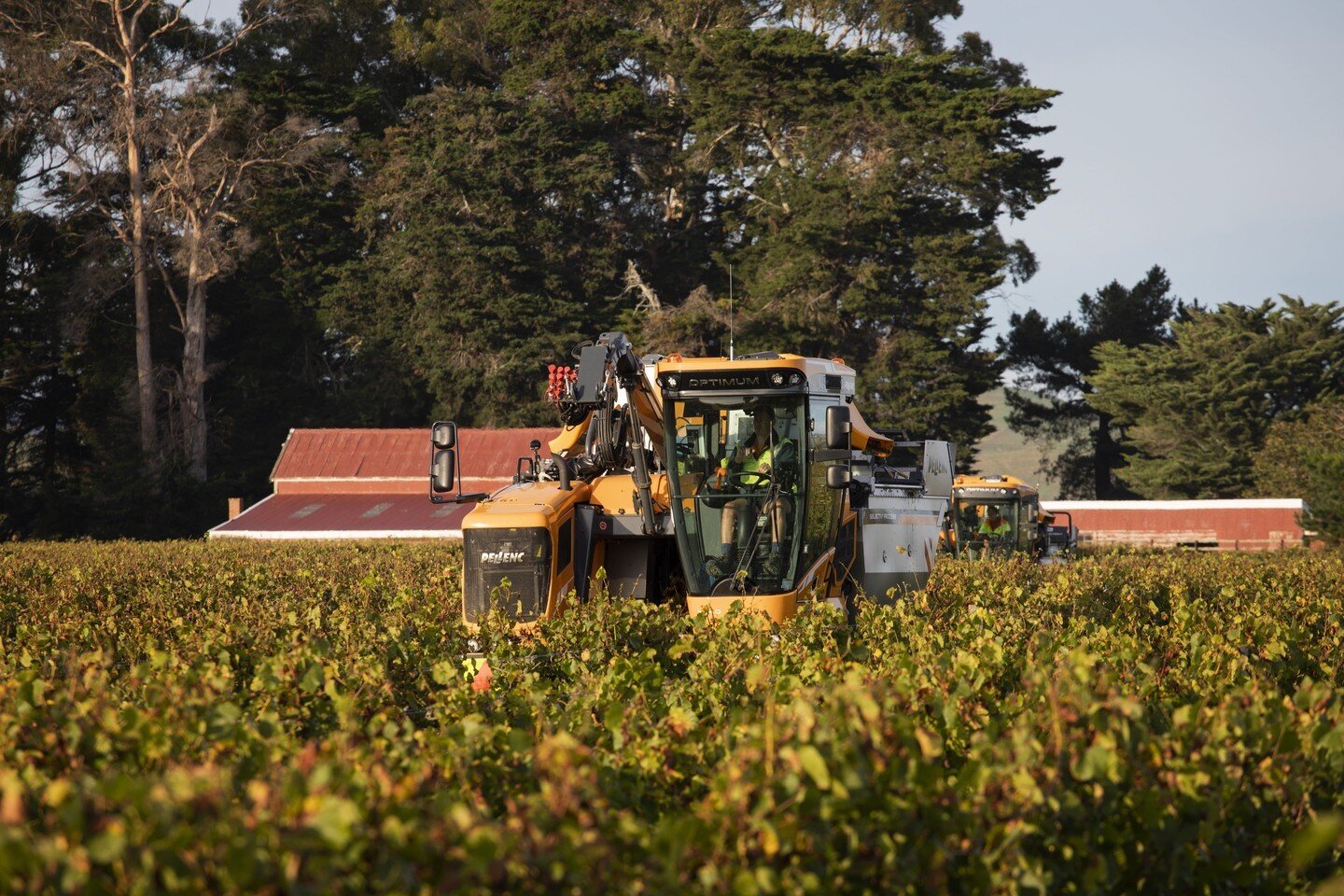 Although Harvest 2023 was a tough period for many, it will certainly be one to remember, showing the wine community doing what it does best - coming together to help each other out.

Check out the link in our bio to read Patrick Materman, Our Directo