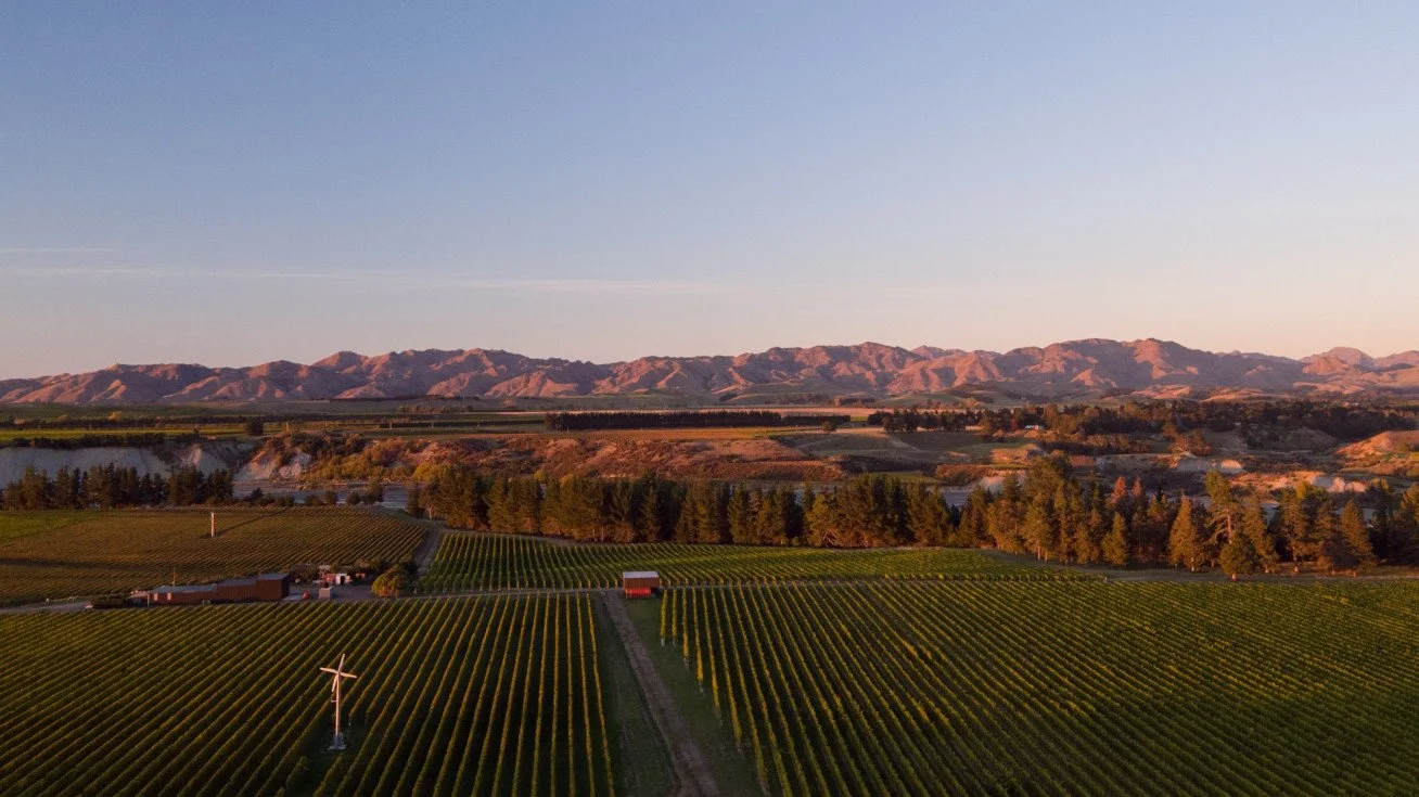 People of Indevin: Priyanka Kulkarni | Winemaker 