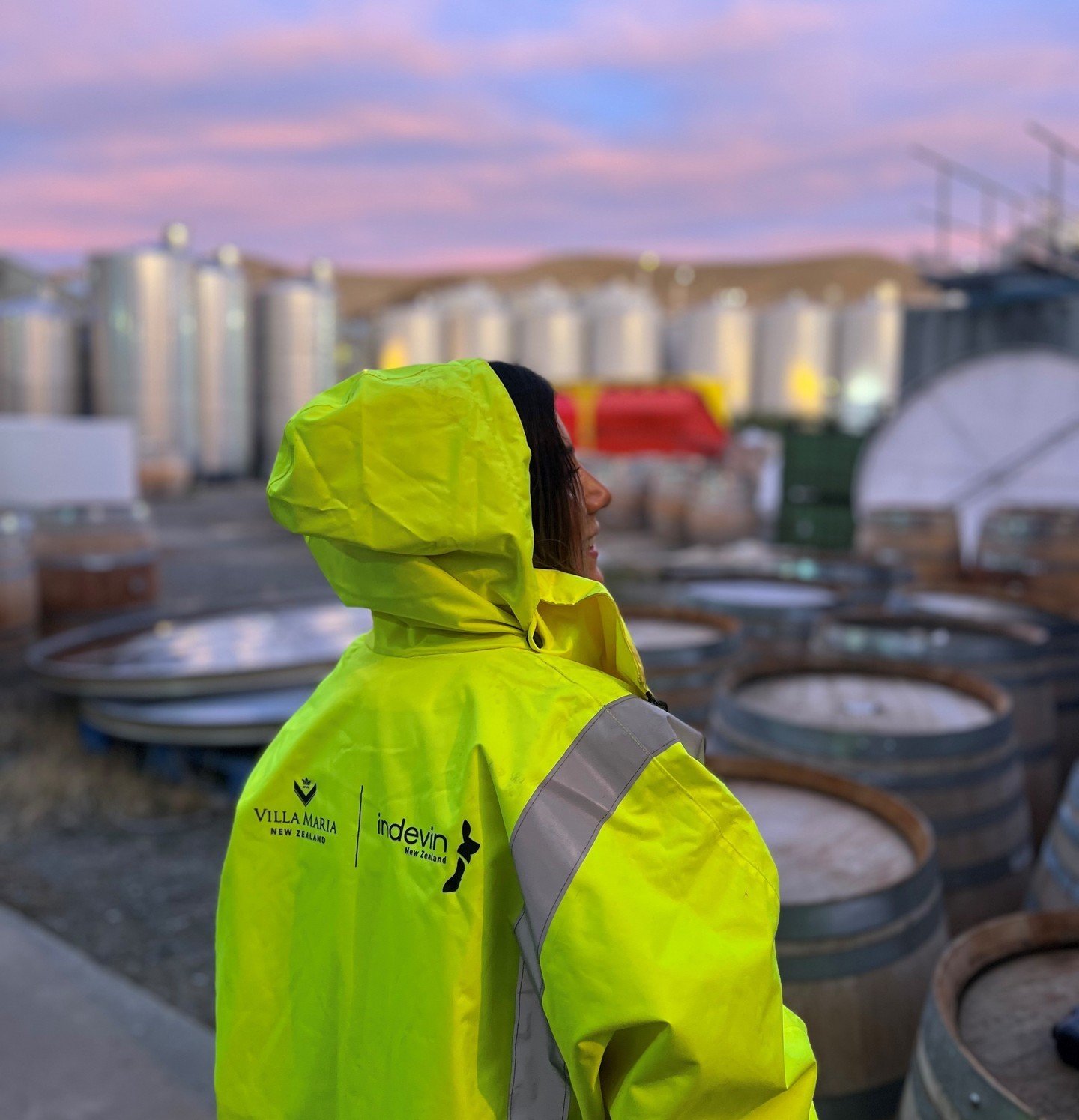 Can't beat those harvest skies! 
📷 Rocio Baigorria

#nzwine #winenewzealand #newzealandwines #nzwinery #indevingroup #thisisindevin #villamariawines #vintage2024