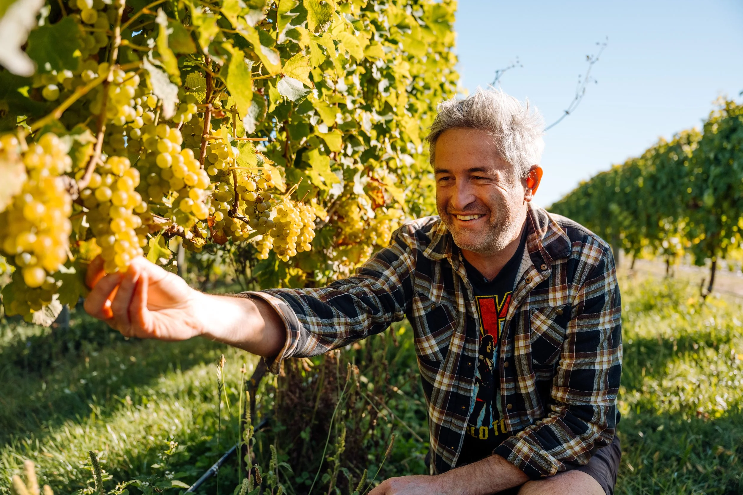 International Sauvignon Blanc Day 2024
