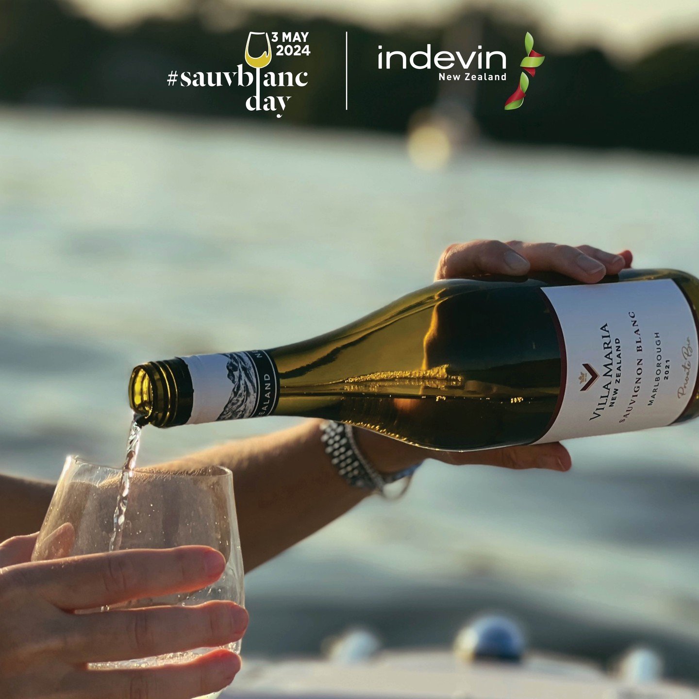 It&rsquo;s International Sauvignon Blanc Day! This year, 83% of the grapes we harvested were Sauvignon Blanc and we are forever enamoured by this versatile grape. 

Zesty, zingy and always sure to make your tastebuds pop, let&rsquo;s raise a glass to
