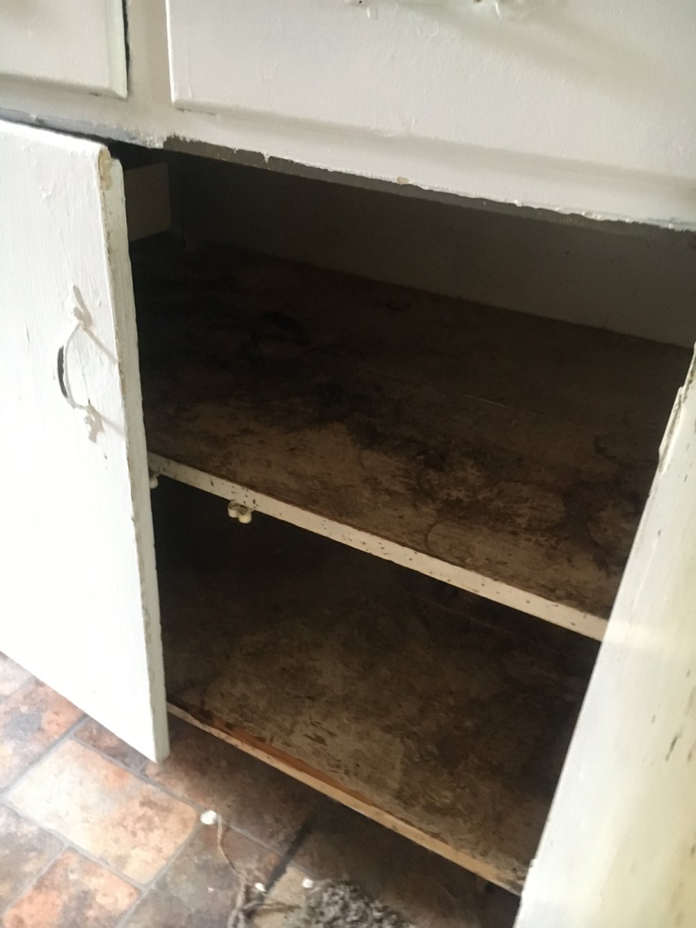 Super gross kitchen cabinets