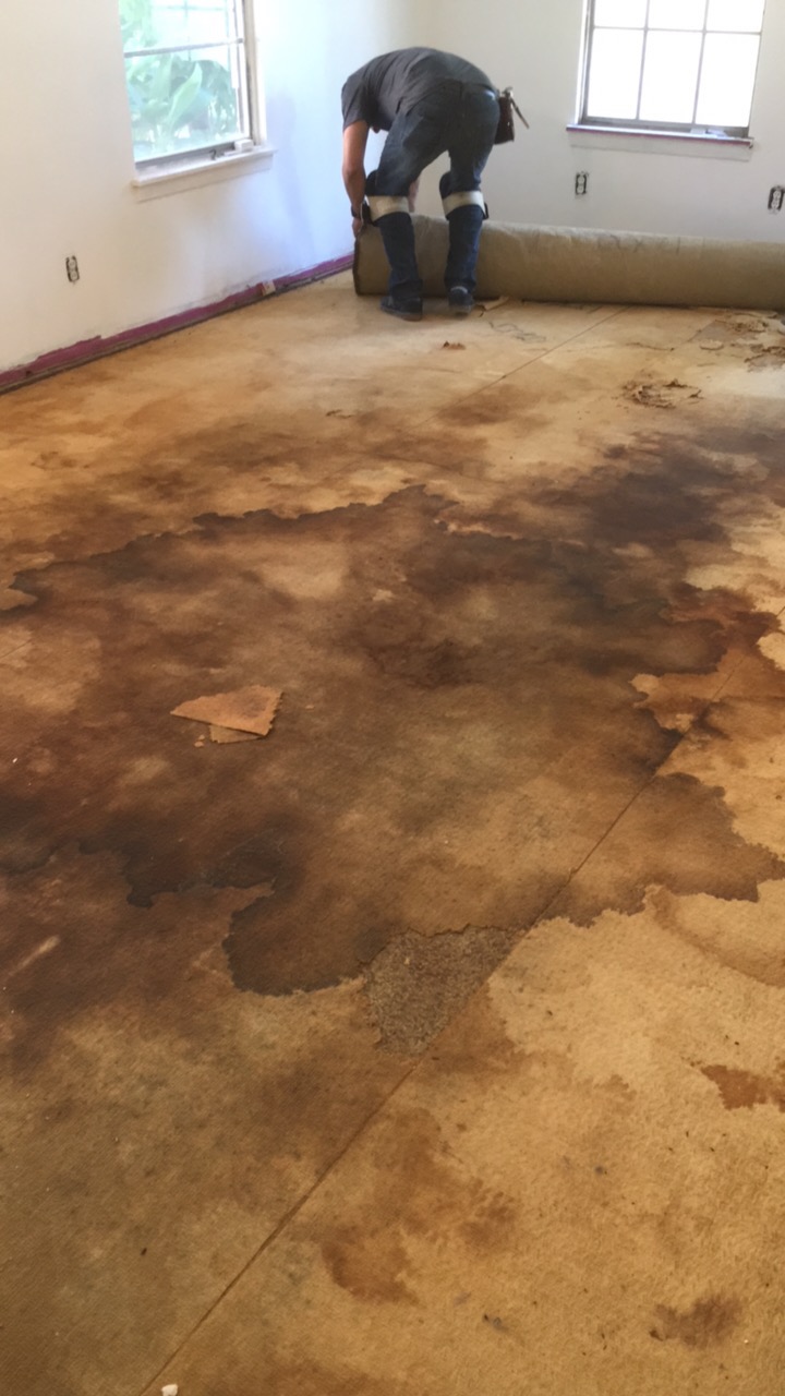 Mysterious stains under all that flooring…