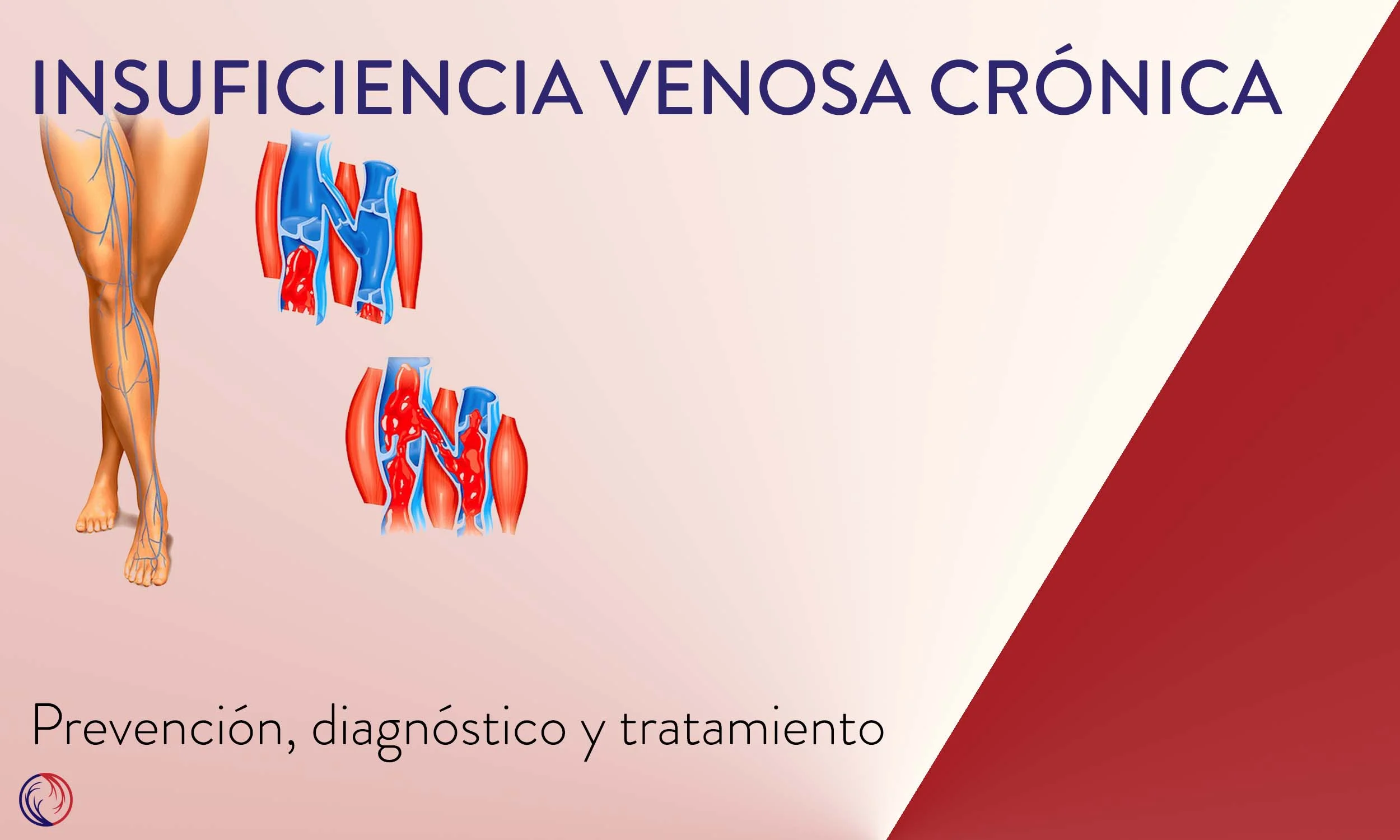 IVC - Dra Stefany Gonzalez De Leo.jpg