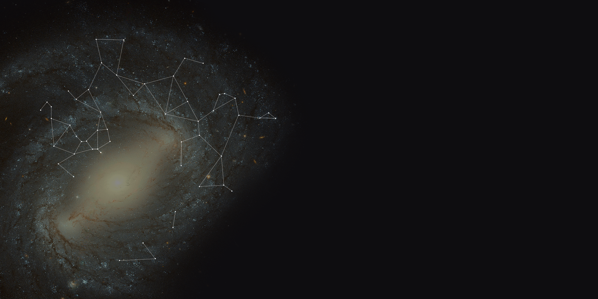 website bg 2.1.png