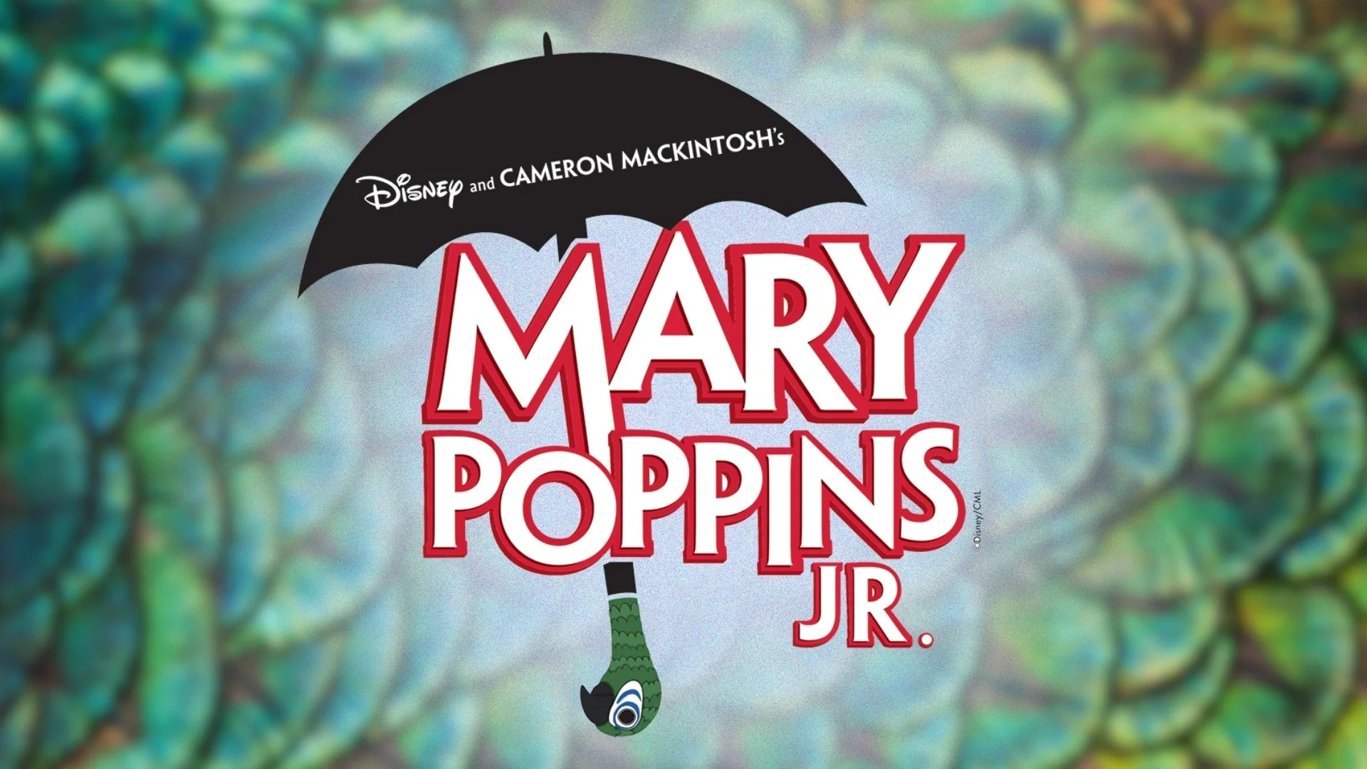 Mary Poppins Jr. | Performances May 22-23