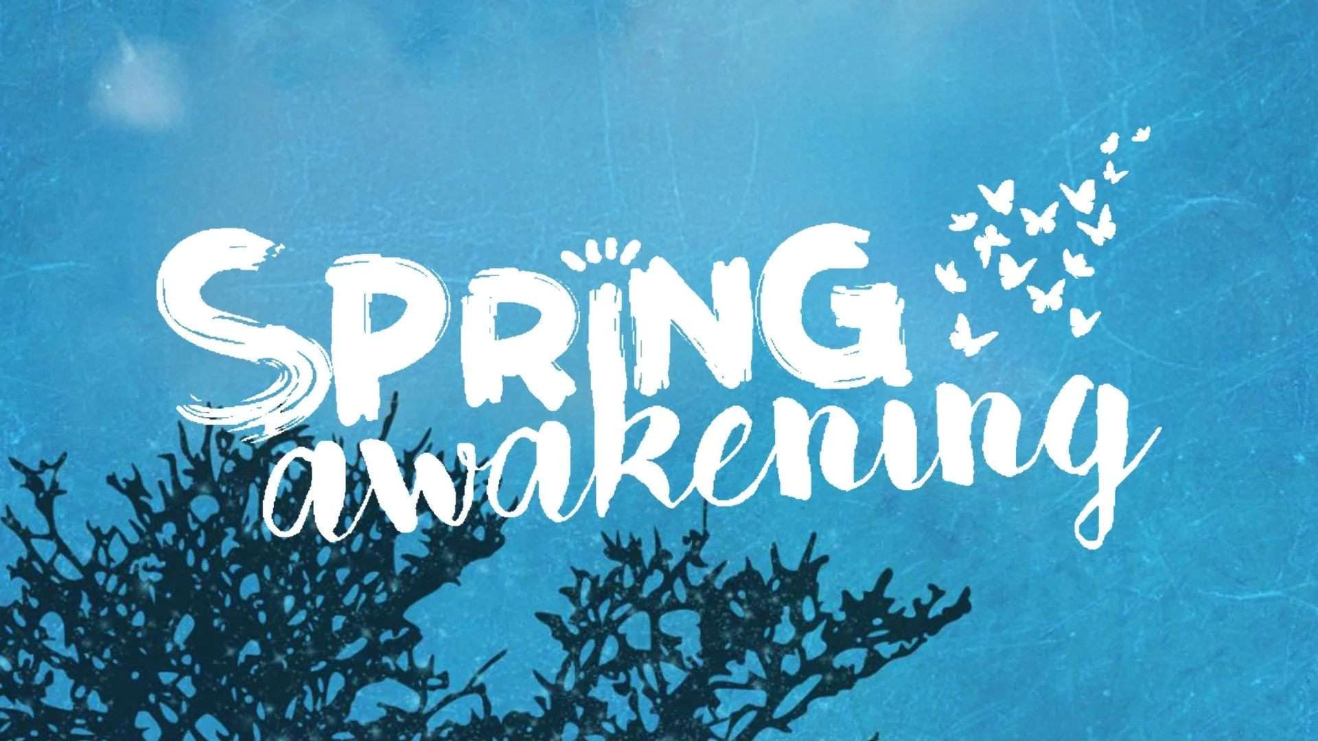 Spring Awakening 