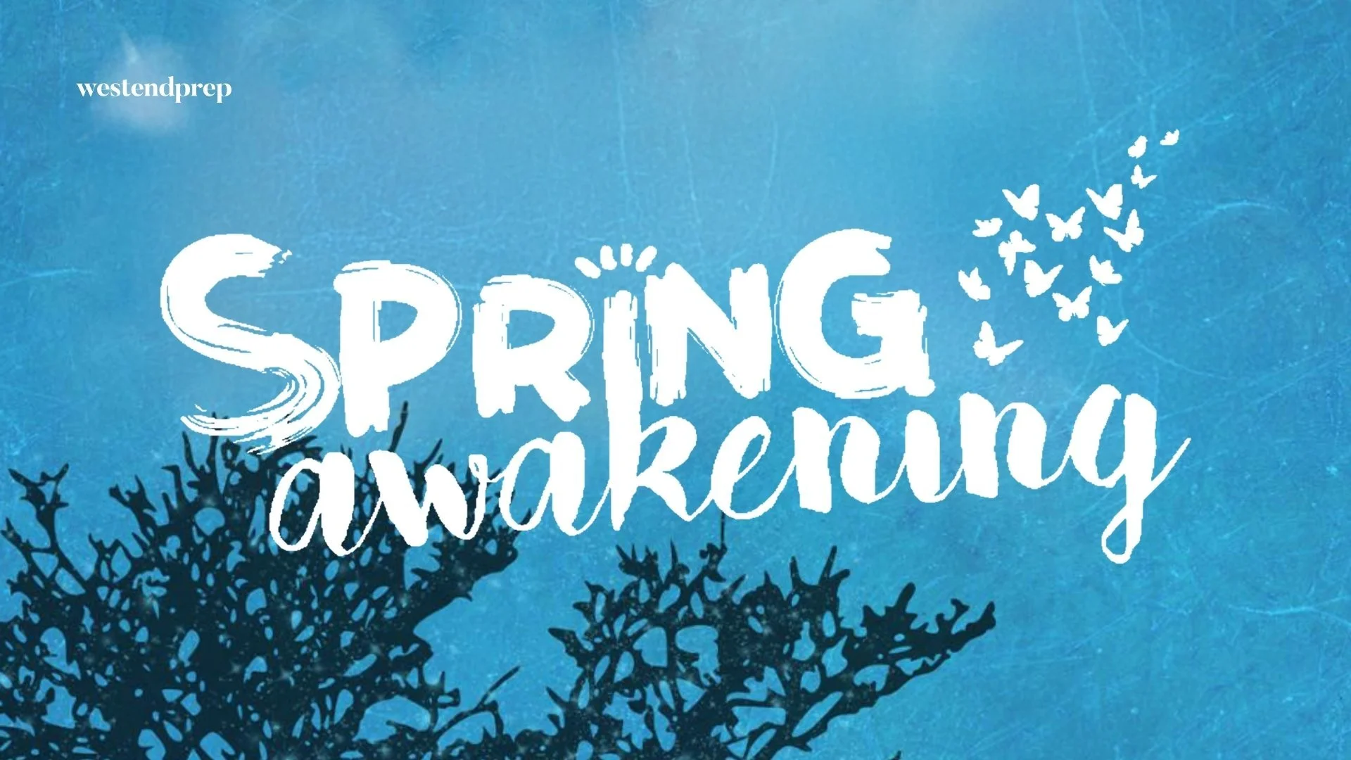 Spring Awakening | Performances May 29-31