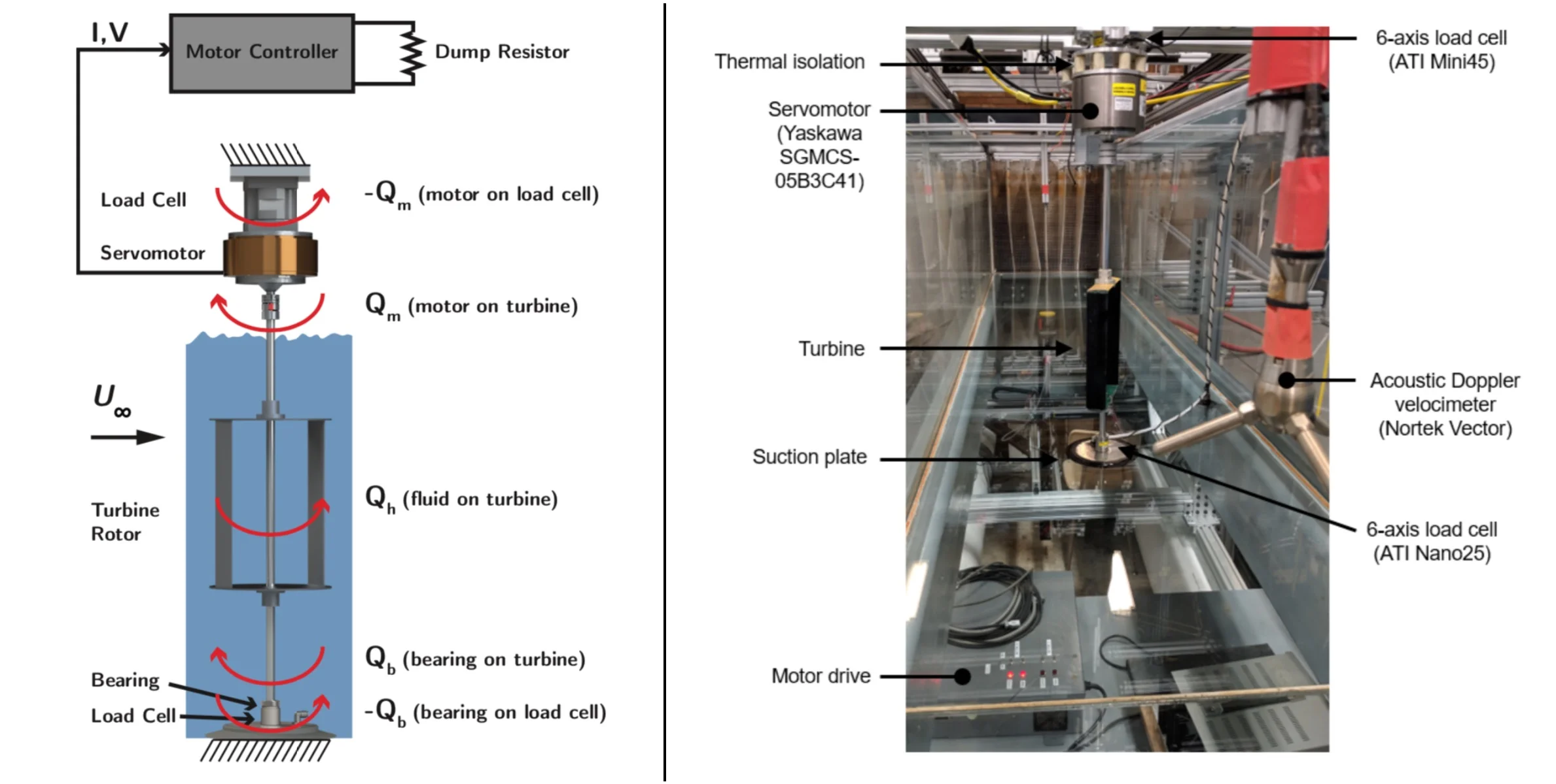 Annotated images of the experimental apparatus shown schematically and as implemented (minus water).