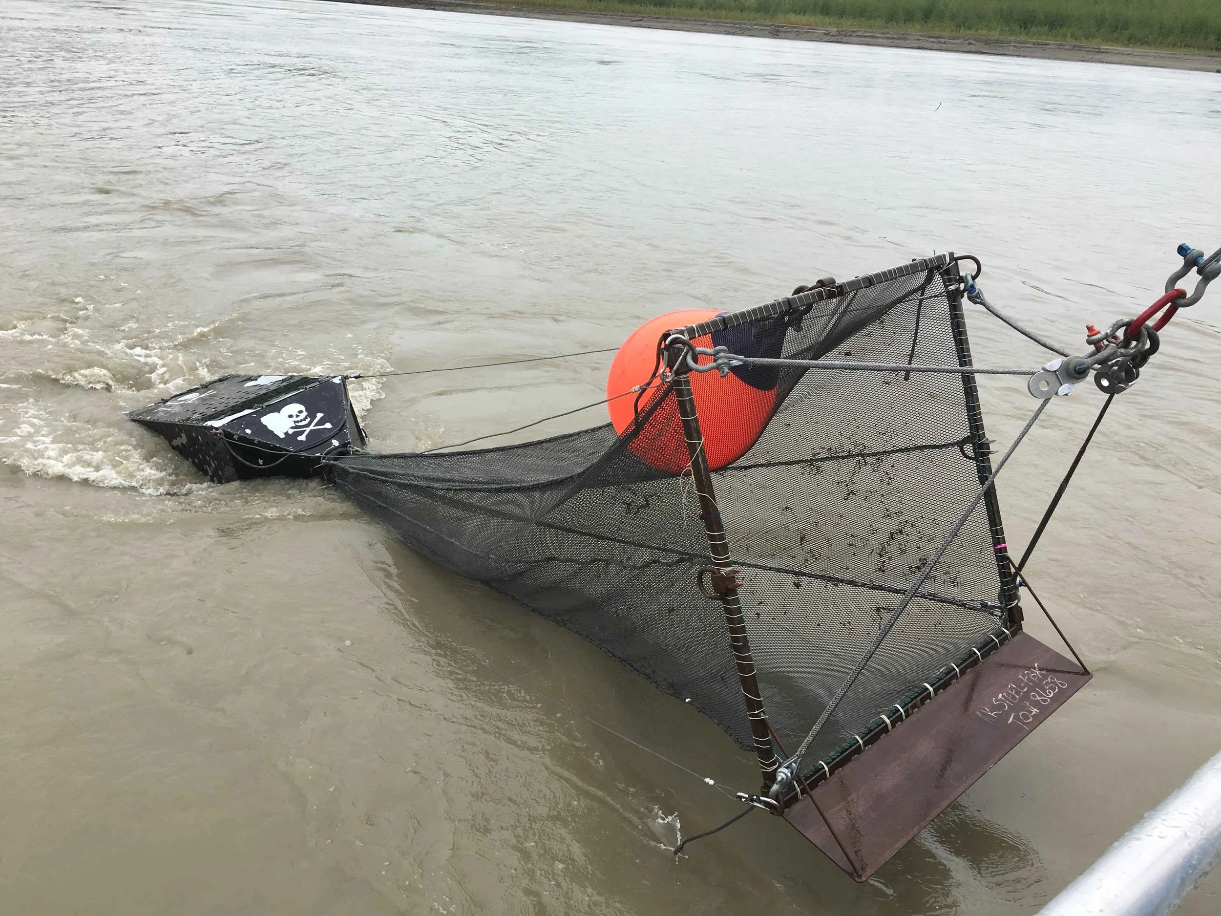 UAF: New Paper Explores Possible Fish Interactions with In-river Turbines