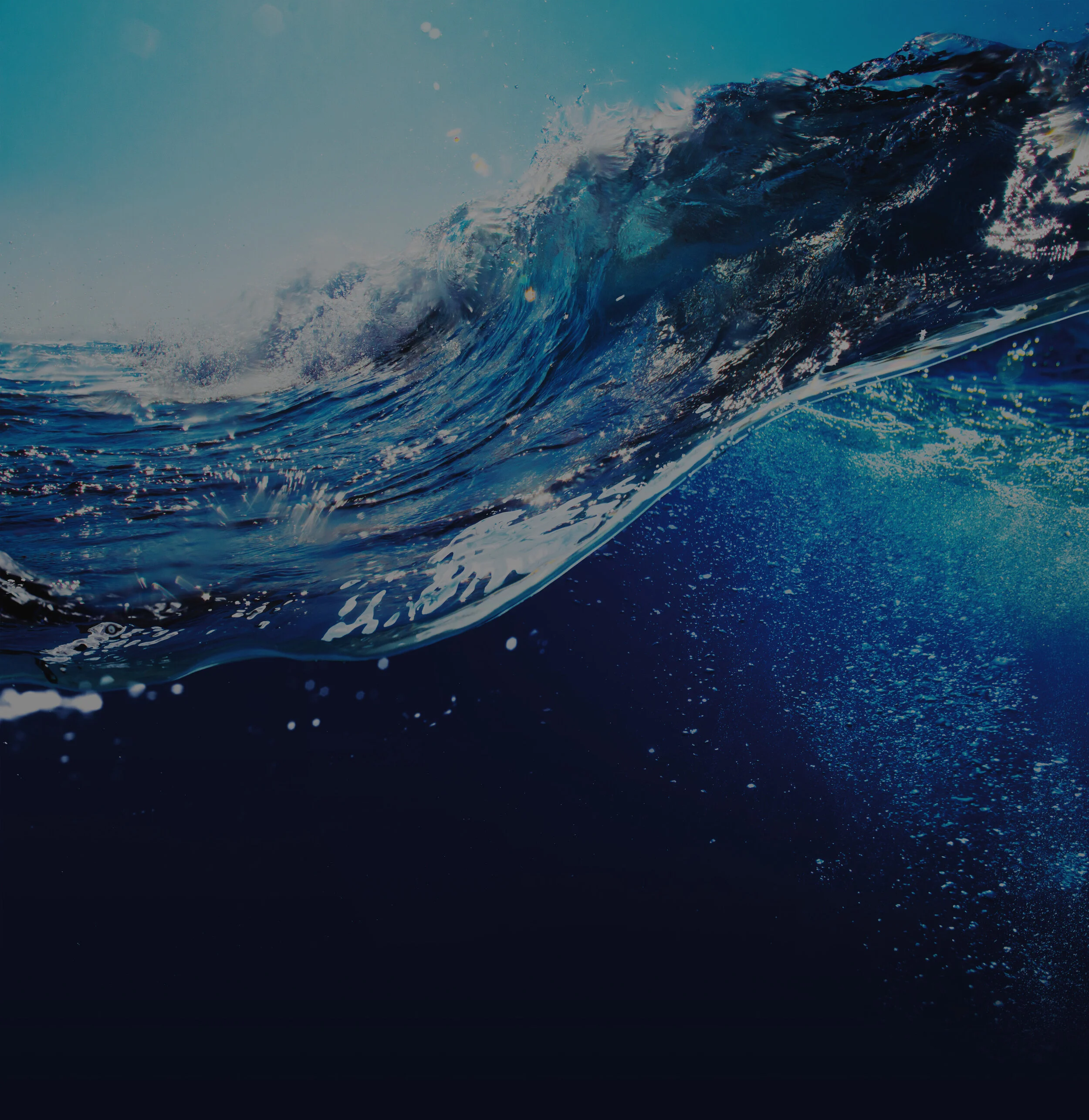 slide-backdrop copy.jpg