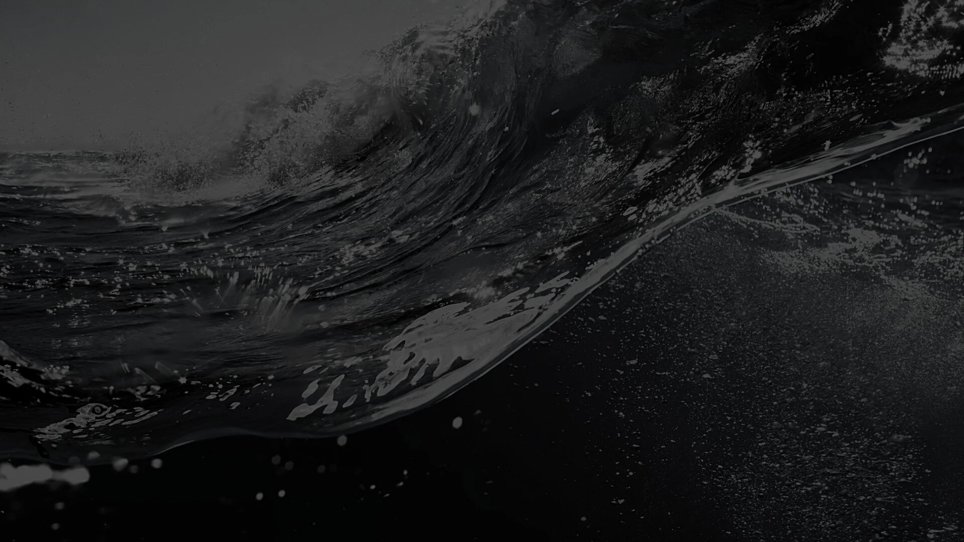 PMEC's Commitment to Diversity, Equity and Inclusion to Address Racial Justice