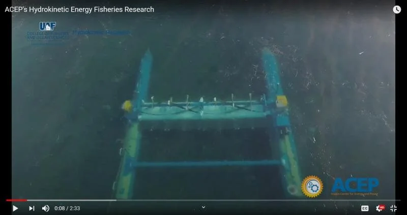 ACEP: In-River Turbines and Salmon (Video)