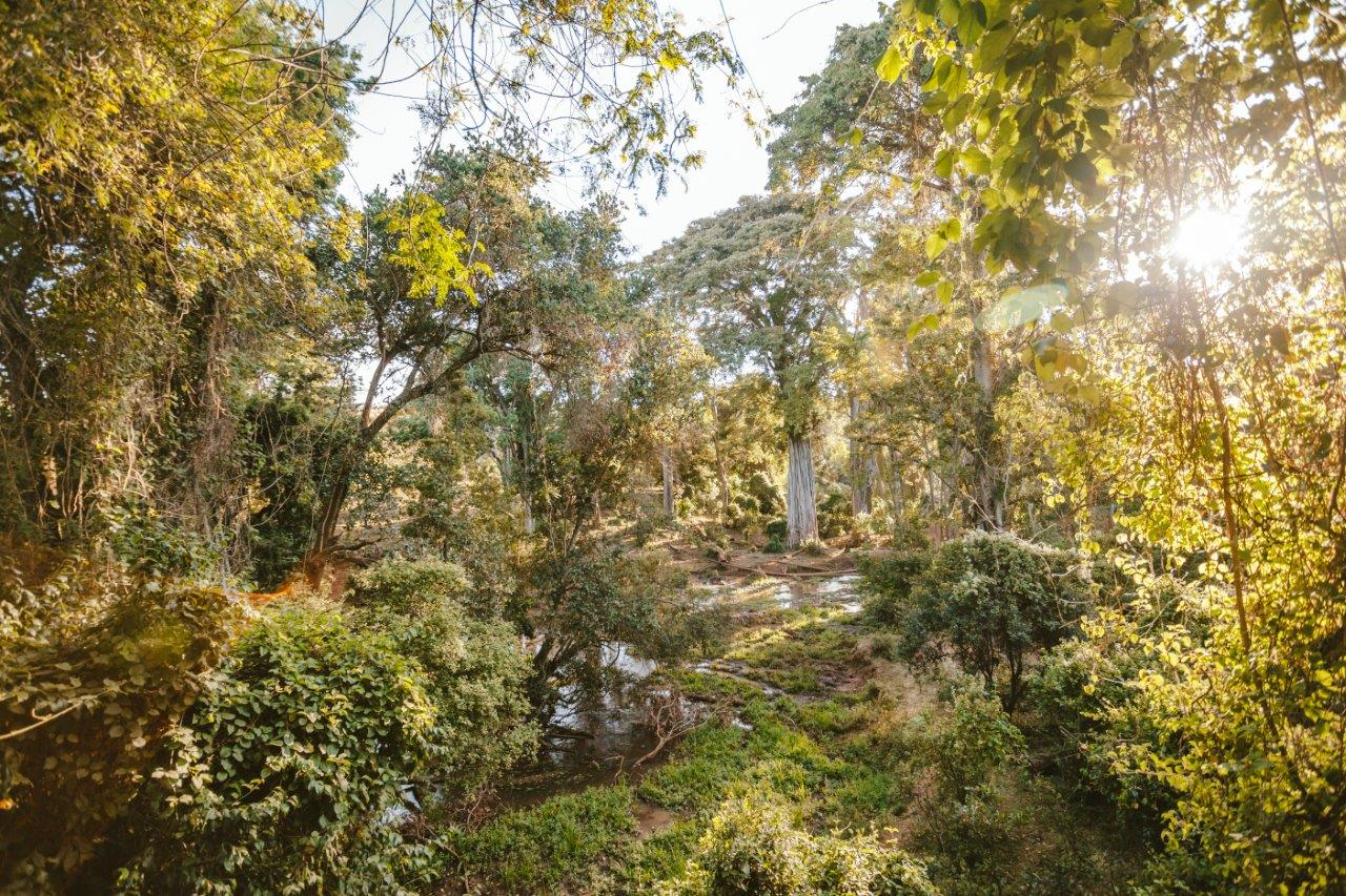 010_High_Res_HandZaround_Sieku_Glamping_Kenya resized.jpg