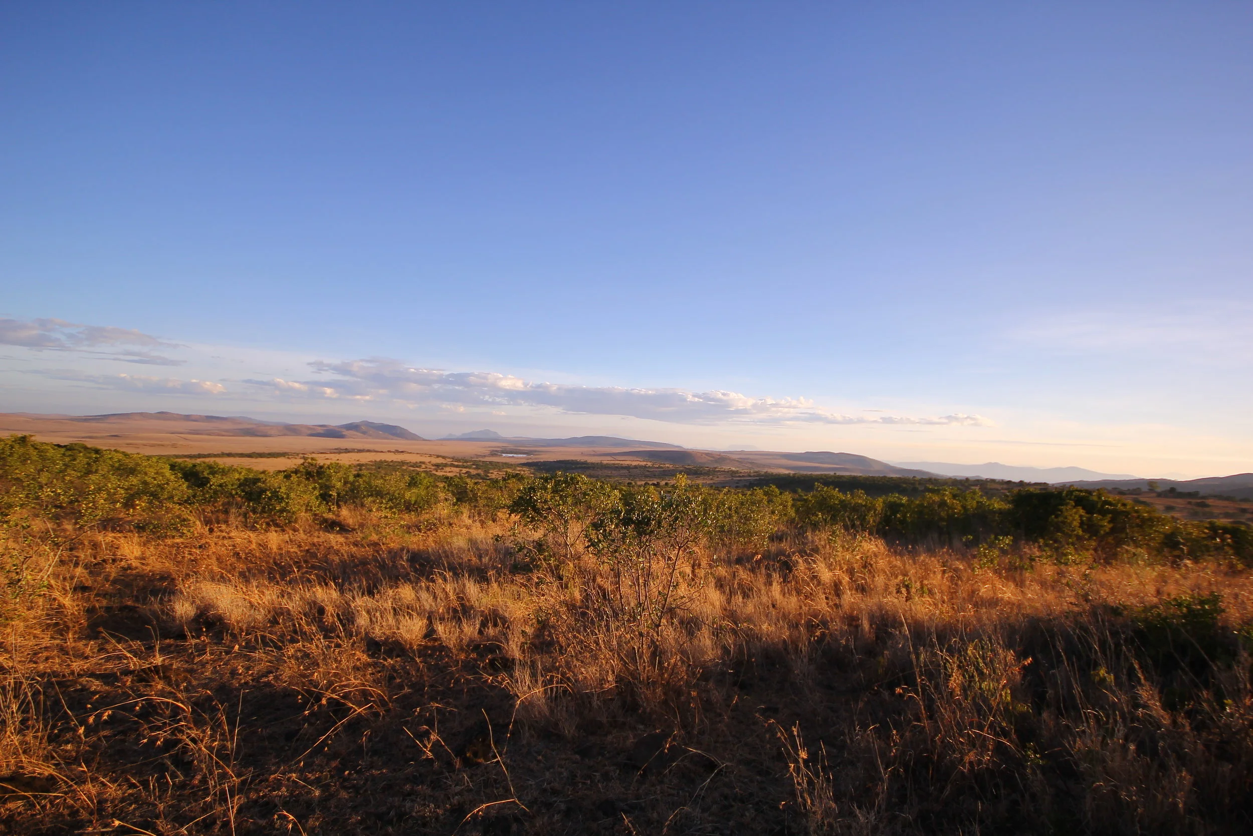 mara and sieku 2017 988.JPG