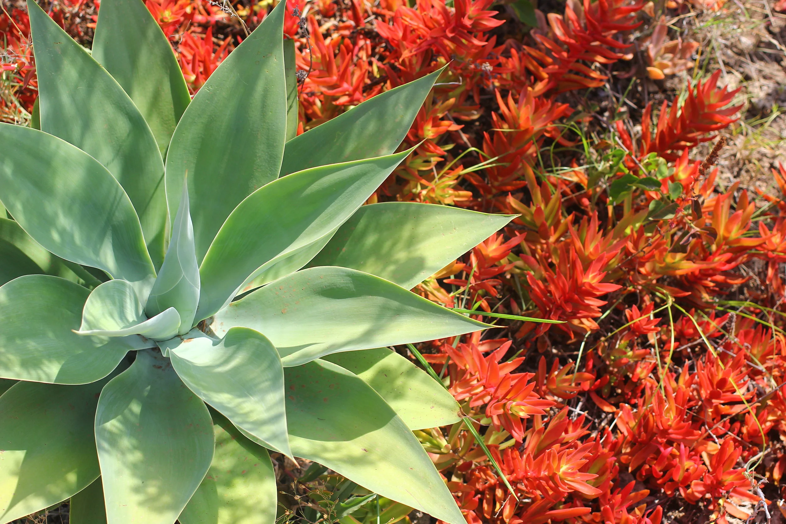 sieku july 17 381.JPG