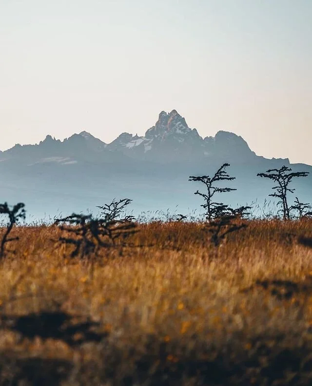 Beautiful Mount Kenya from Sieku, beautifully captured by @the_mentalyst #siekuglampinglaikipia #siekuglamping #mountkenya #laikipia #kenya #glamping #mountkenyatrust #mountains #mountain #nairobi #nairobian #ngarendareforest #ignairobi