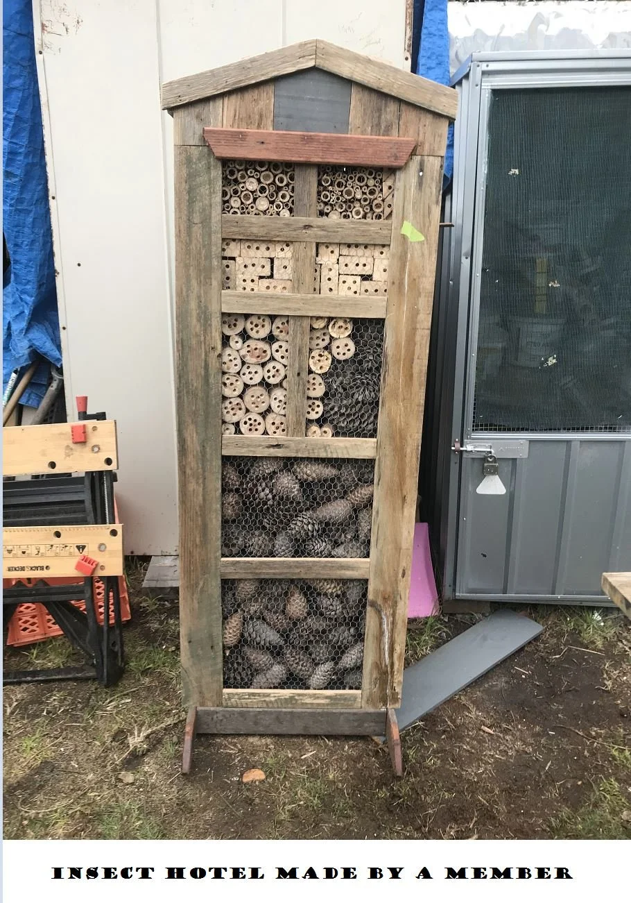 Insect hotel.JPG