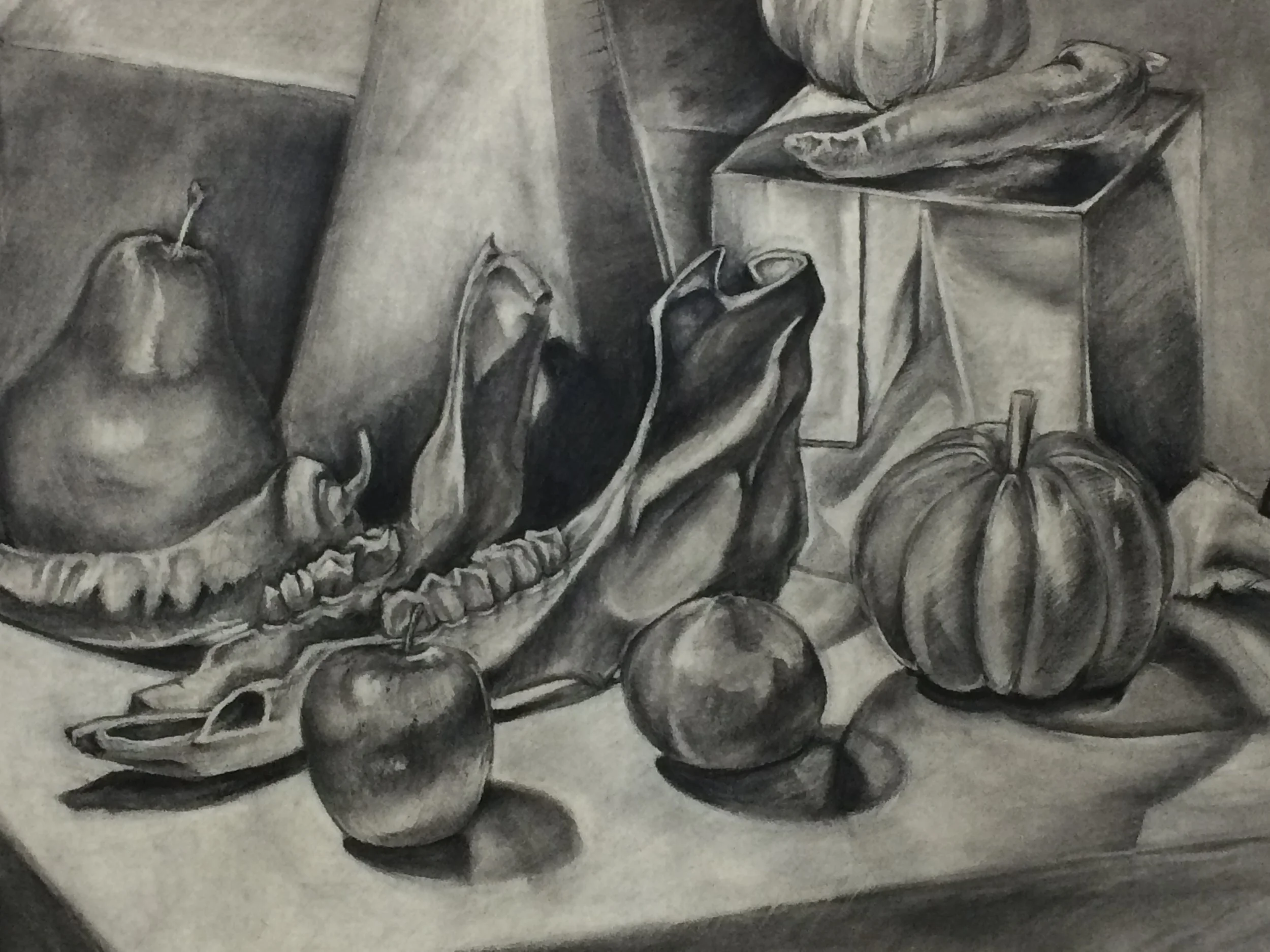 image4.JPG