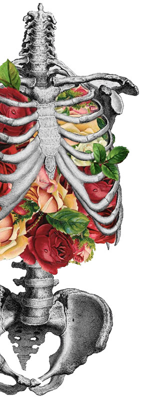 The second cure - skeleton.jpg