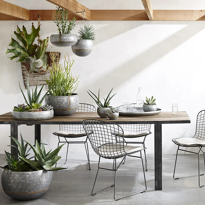 Elmtable1.jpg