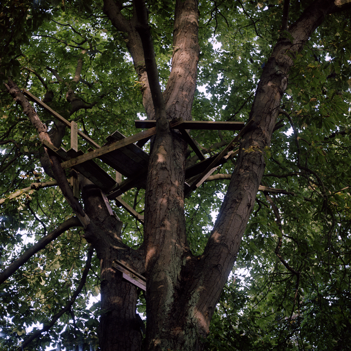   Treehouse , Helsingborg, Sweden 